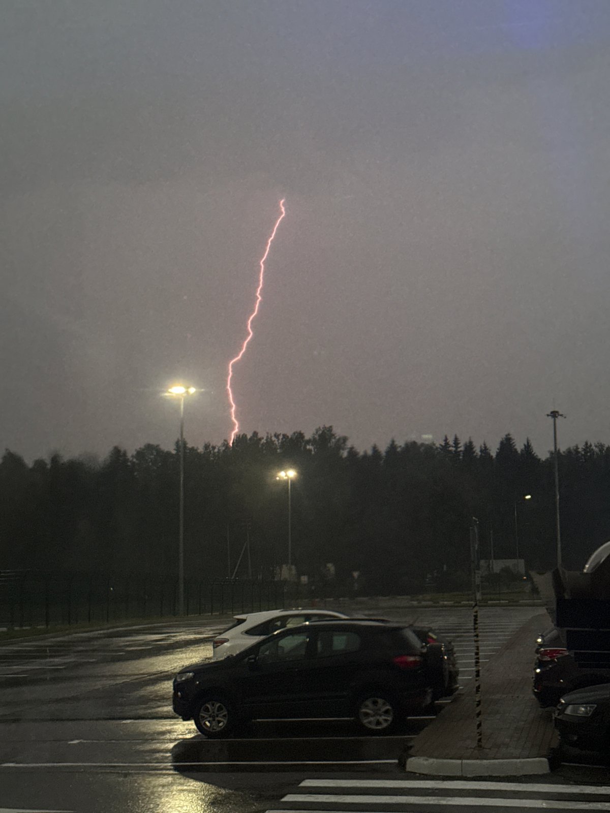 Evening thunderstorm with lightning strikes in Lupanovo, Russia