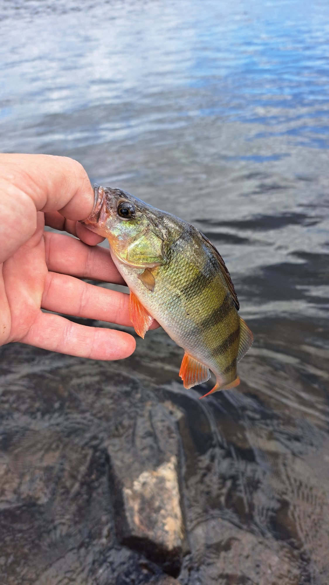 Fishing and exploring the rural outskirts of Marcinowice
