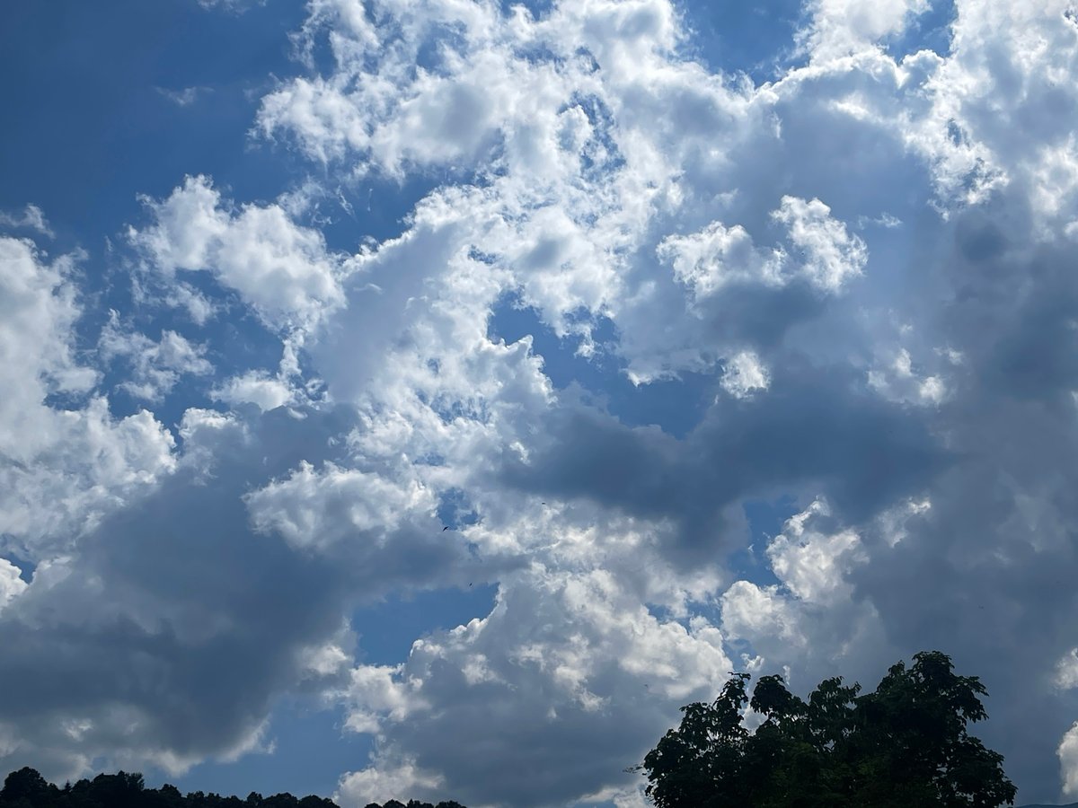 Afternoon sky watching session documented in Berkovitsa, Bulgaria