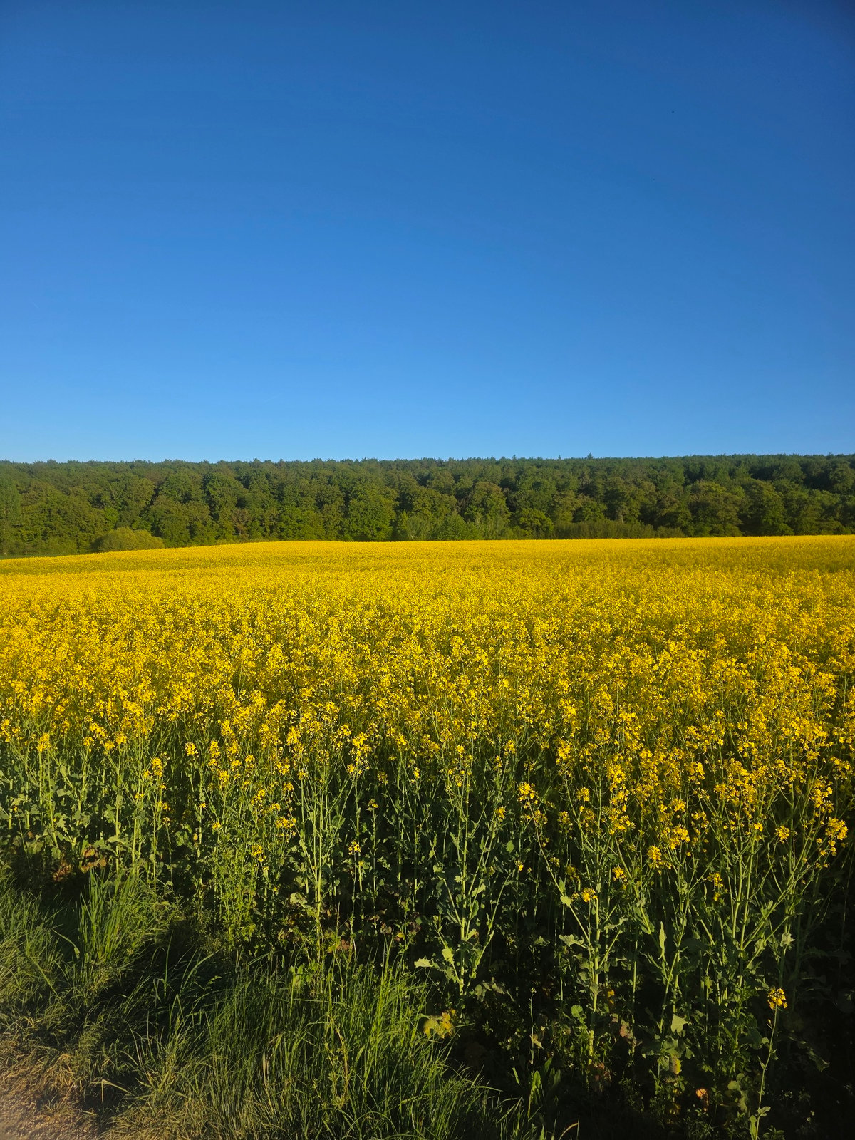 Clear skies photographed over rural Görgeshausen, Germany