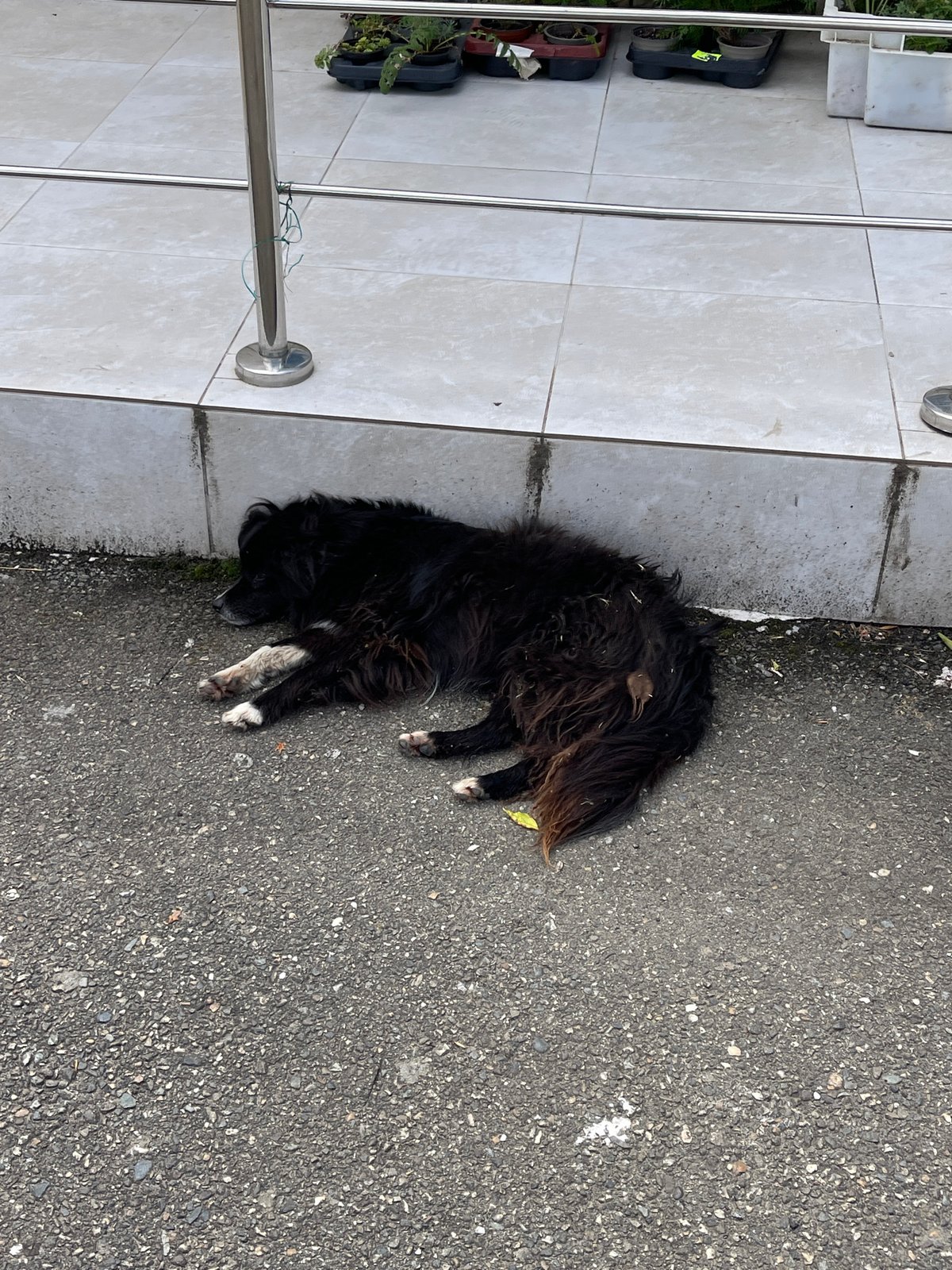Morning street-level snapshots from Donskoye, Russia