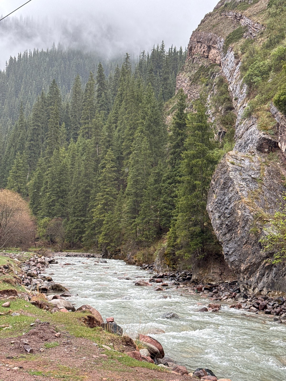 Herder drives livestock through mountain valleys in Kyrgyzstan