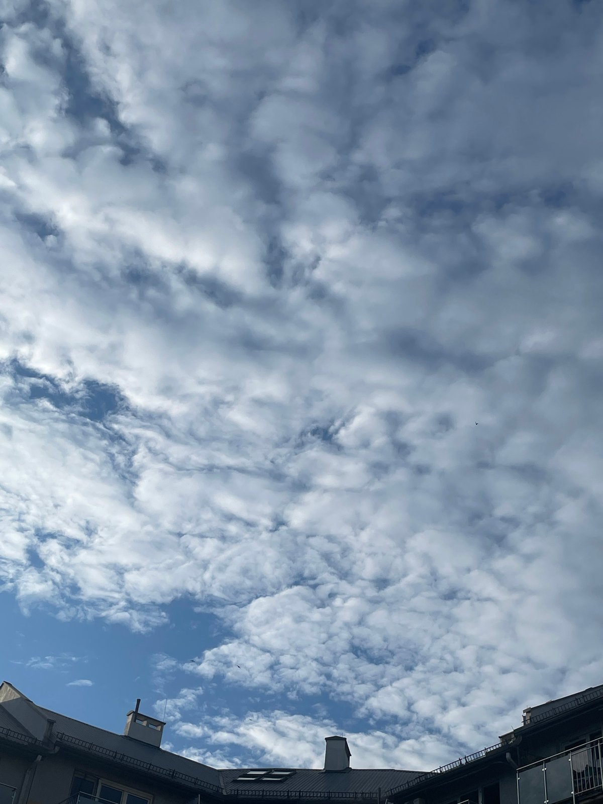 Urban afternoon: snail encounters and sky gazing captured