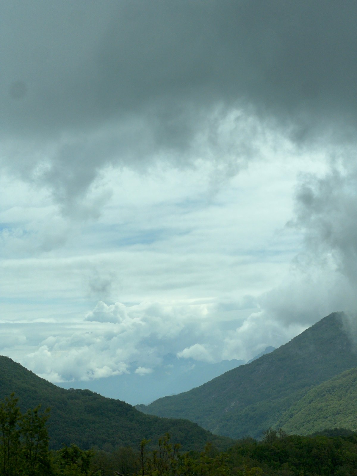 Green hillside documented in Brajici, Montenegro