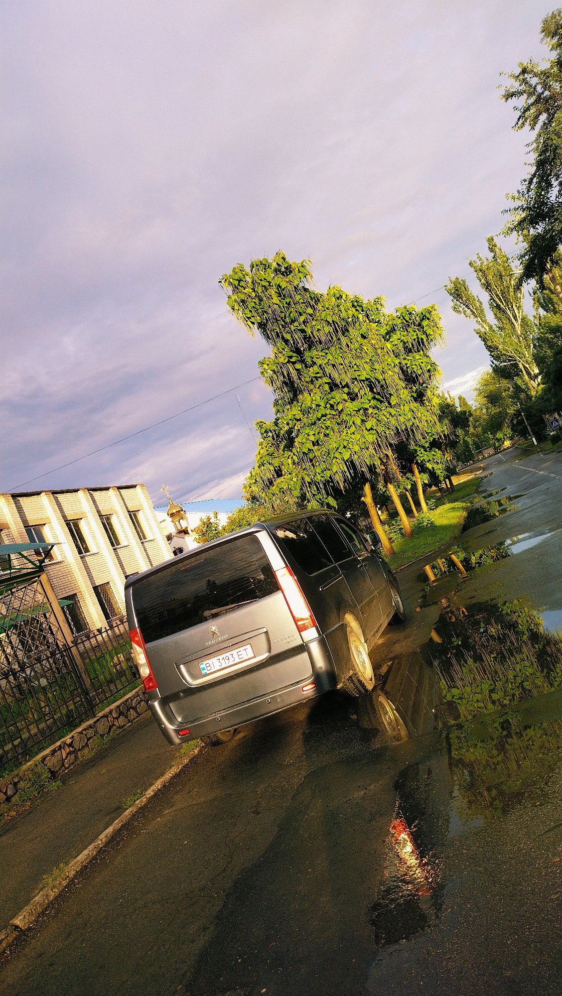 Post-rain plant details and street scenes in Horishni Plavni