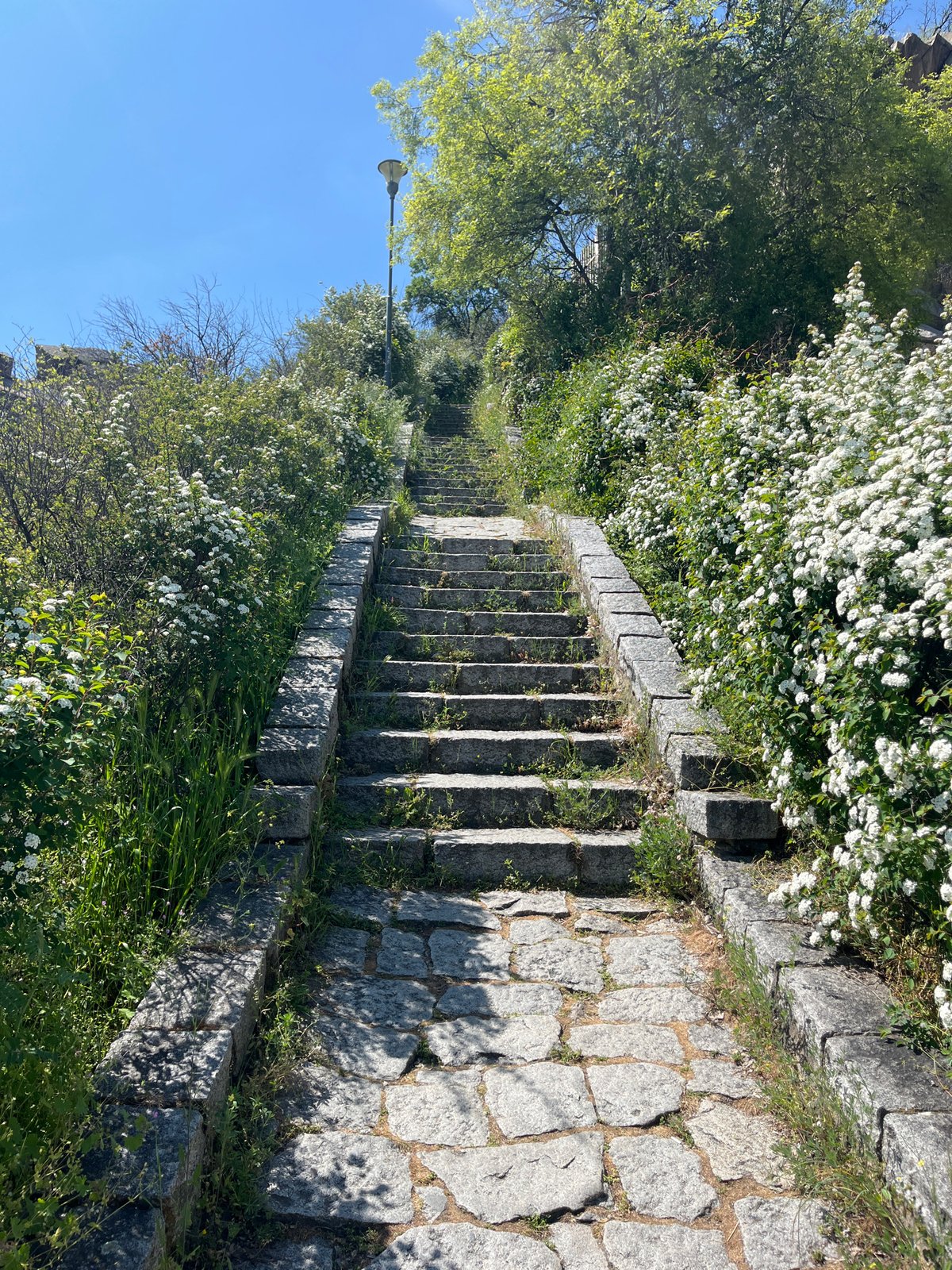 Spring blooms documented across Plovdiv's stone steps and flowering trees