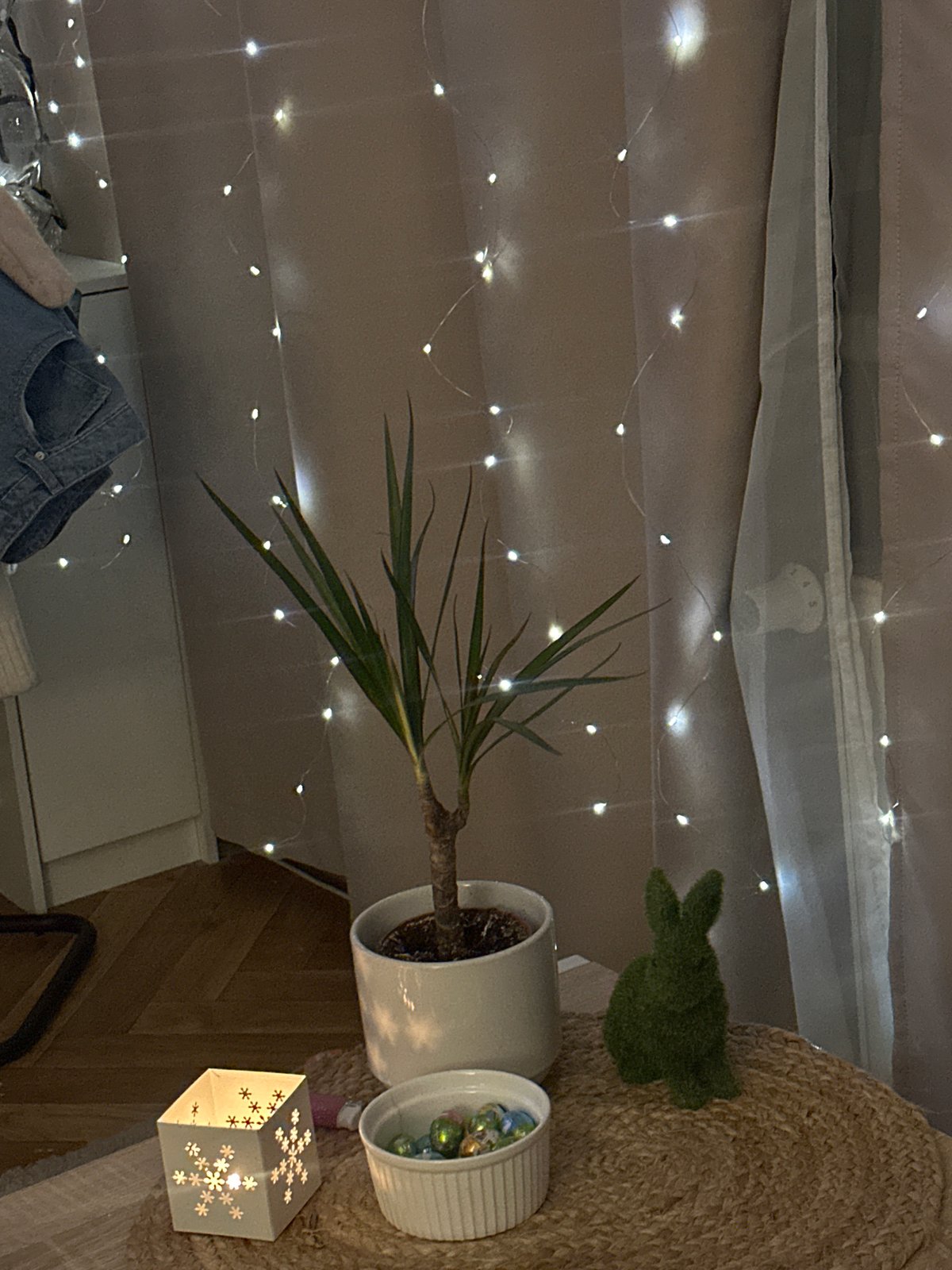 Indoor home decoration scene captured in Liepaja, Latvia