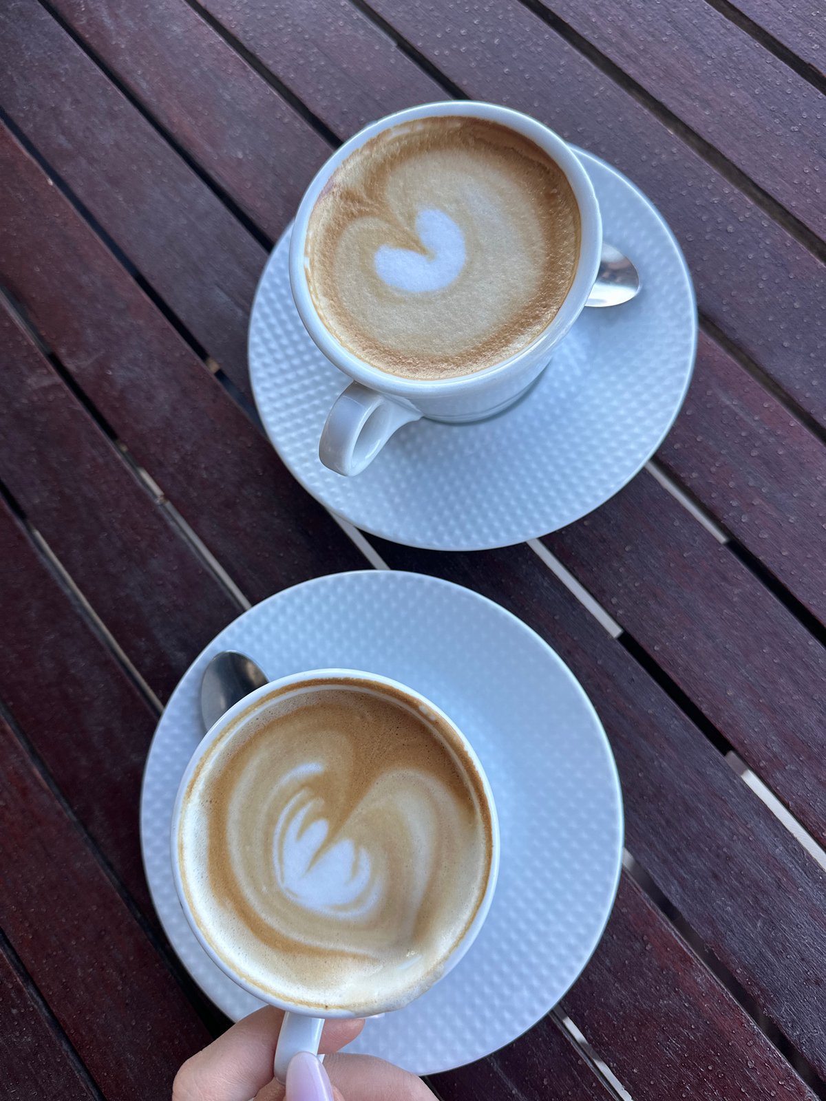 Morning coffee shared with Samoyed dog overlooking Adriatic Sea