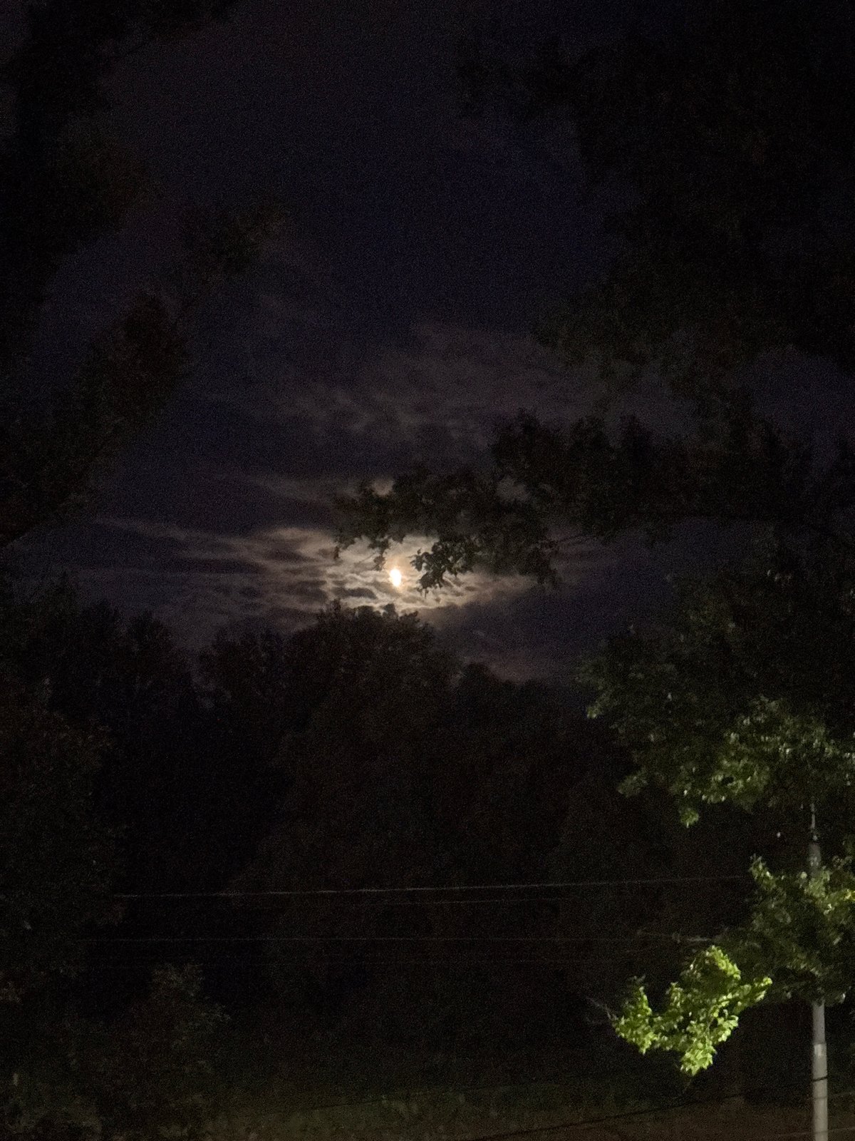 Moon visible through clouds and trees in Rusanovo