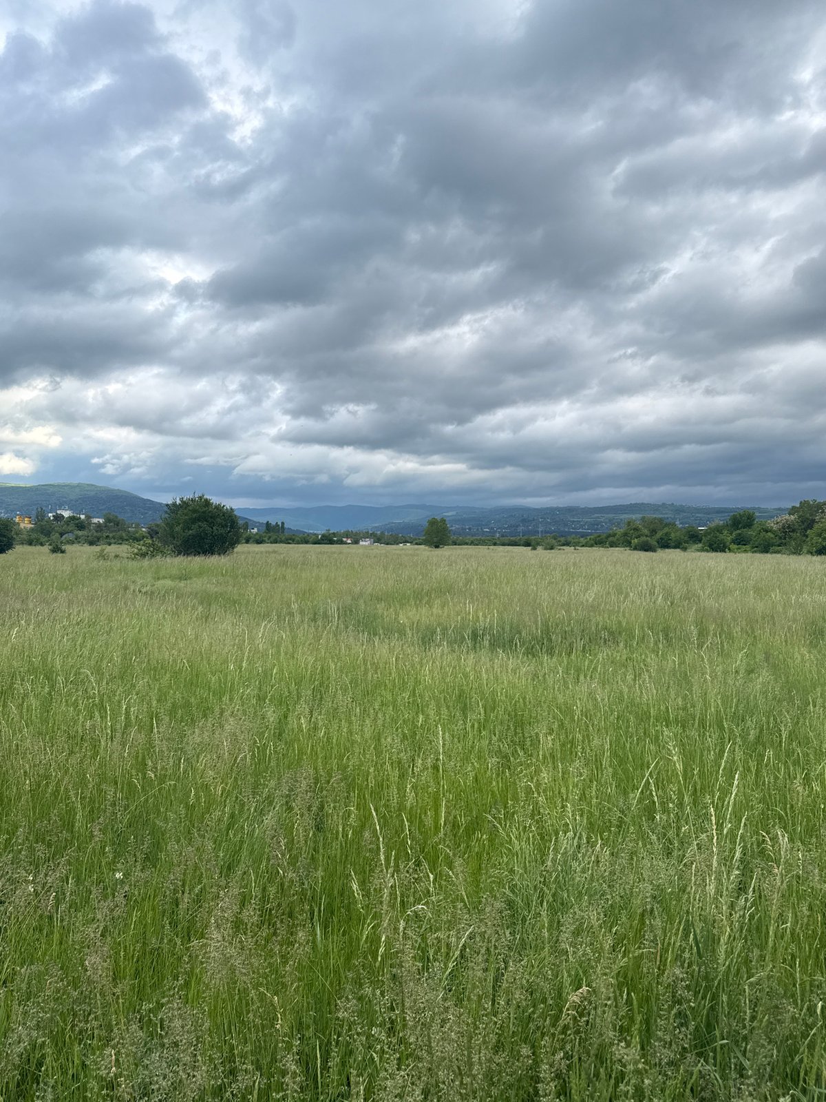 Dramatic overcast skies observed over green fields in Sofia