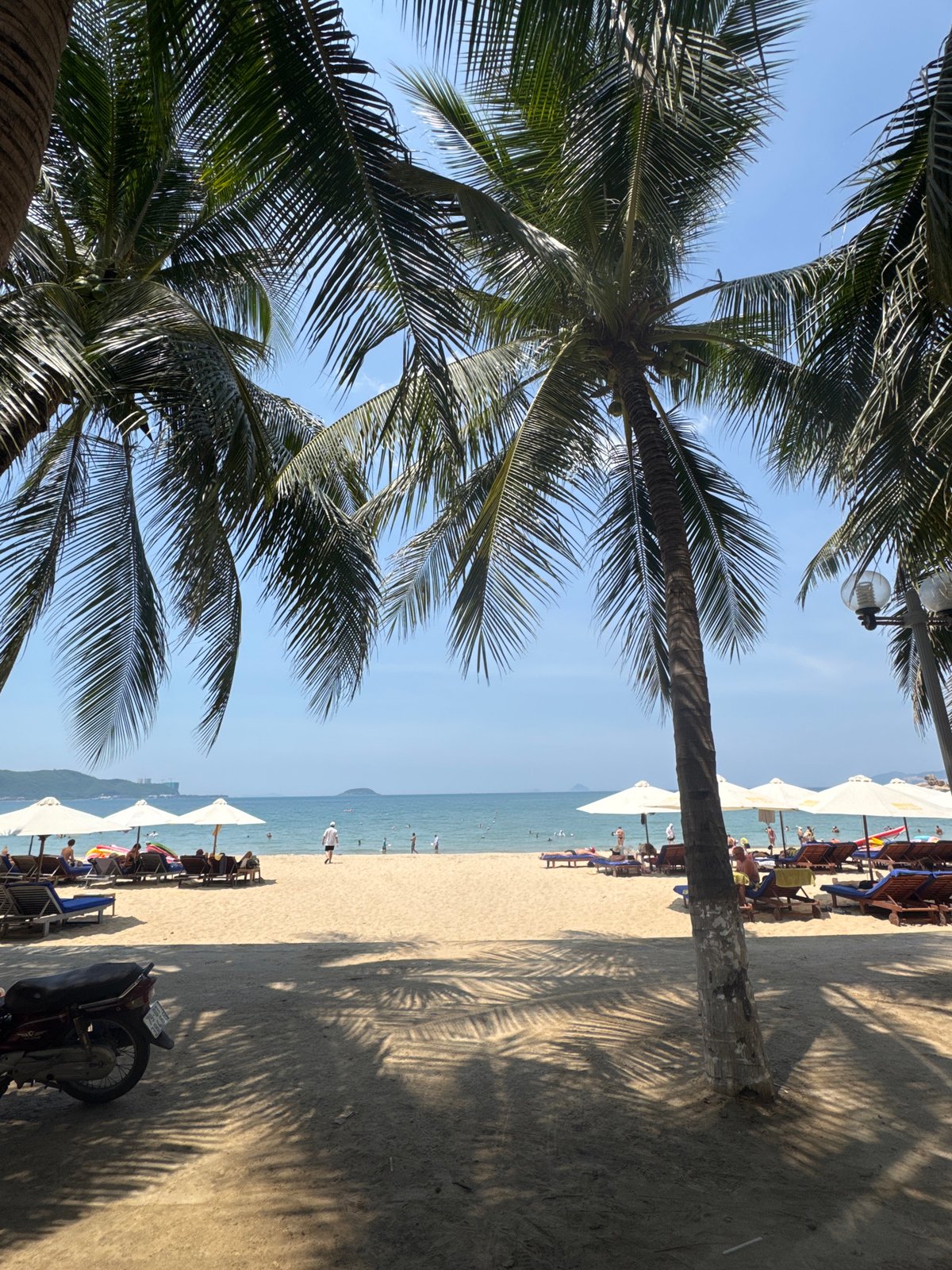 A laid-back morning along the Nha Trang shoreline