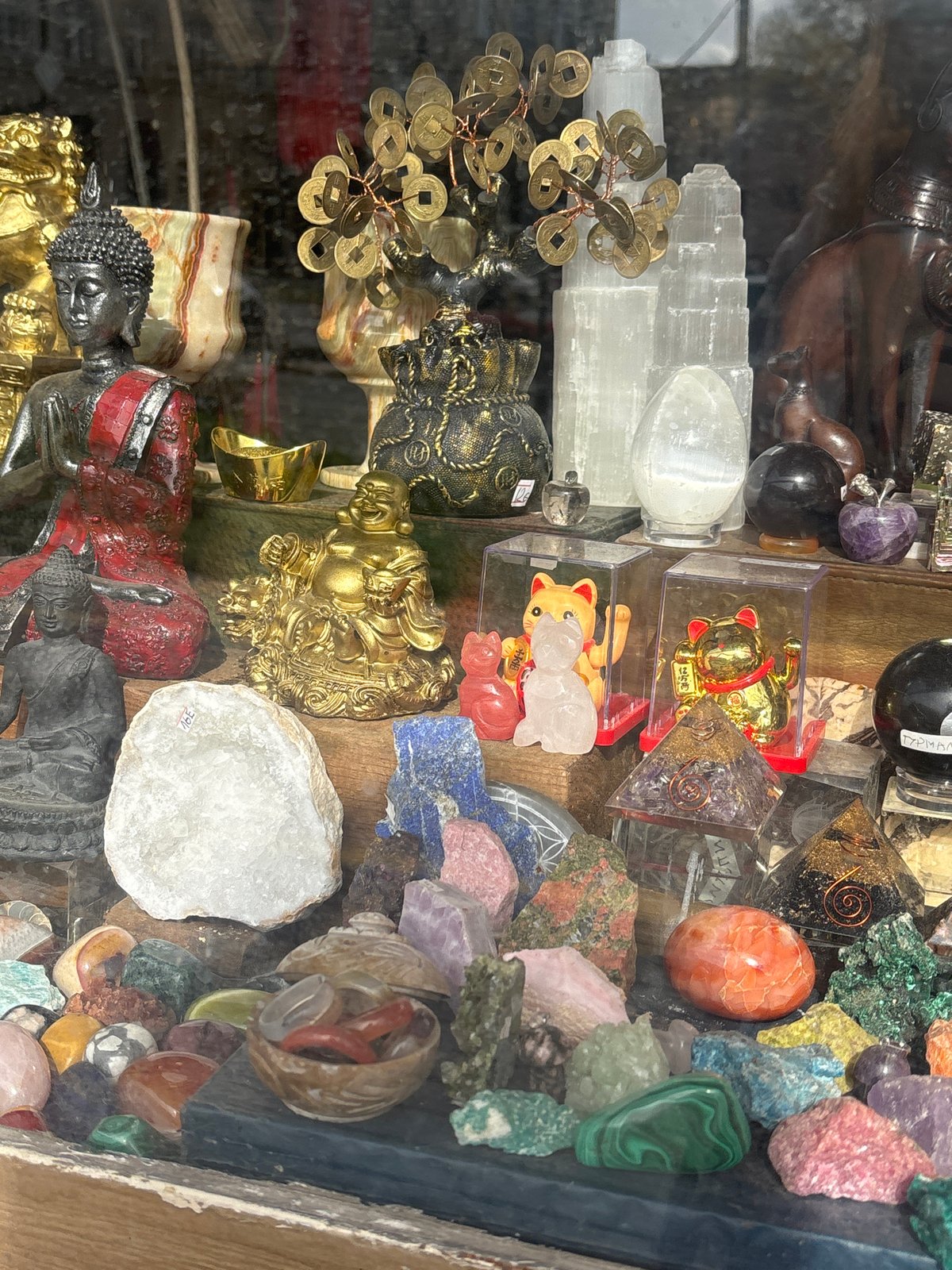 Shop display features Buddha statues, lucky cats in Varna