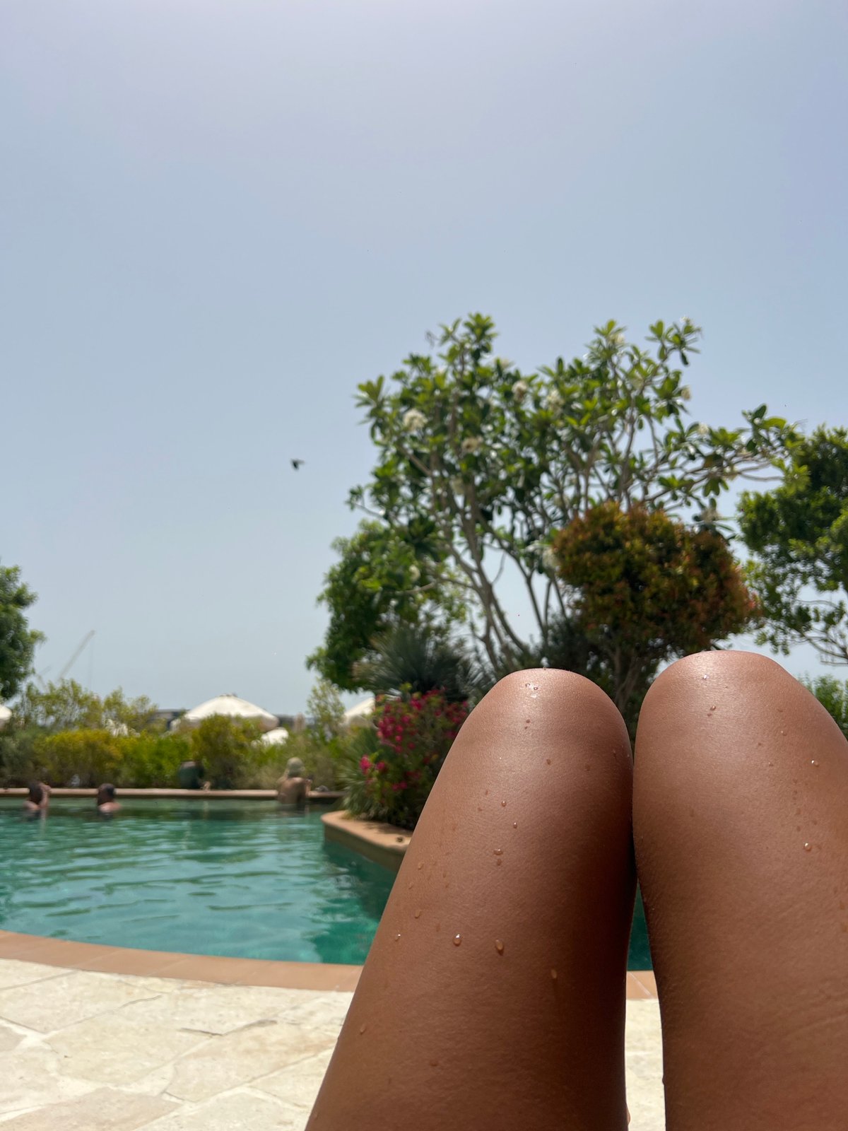 Morning poolside leisure scene captured in Dubai