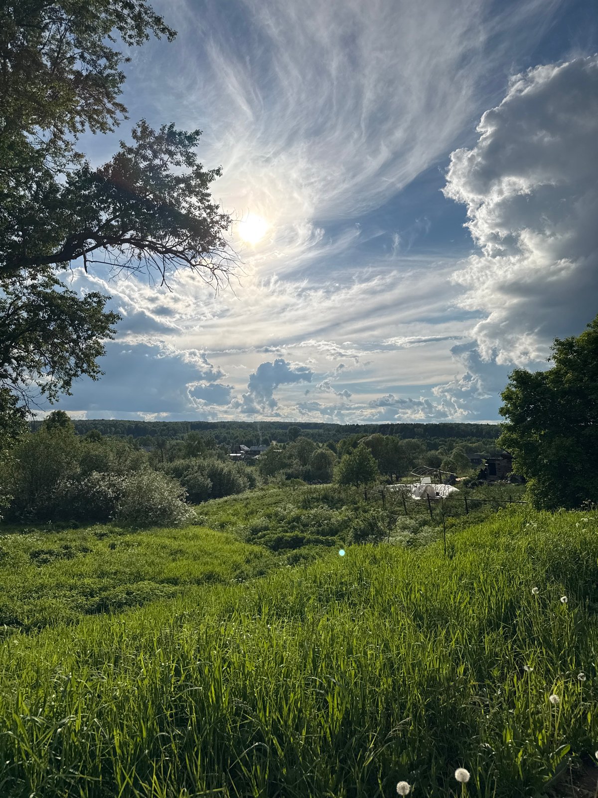 Spring pastoral scene documented in rural Russia