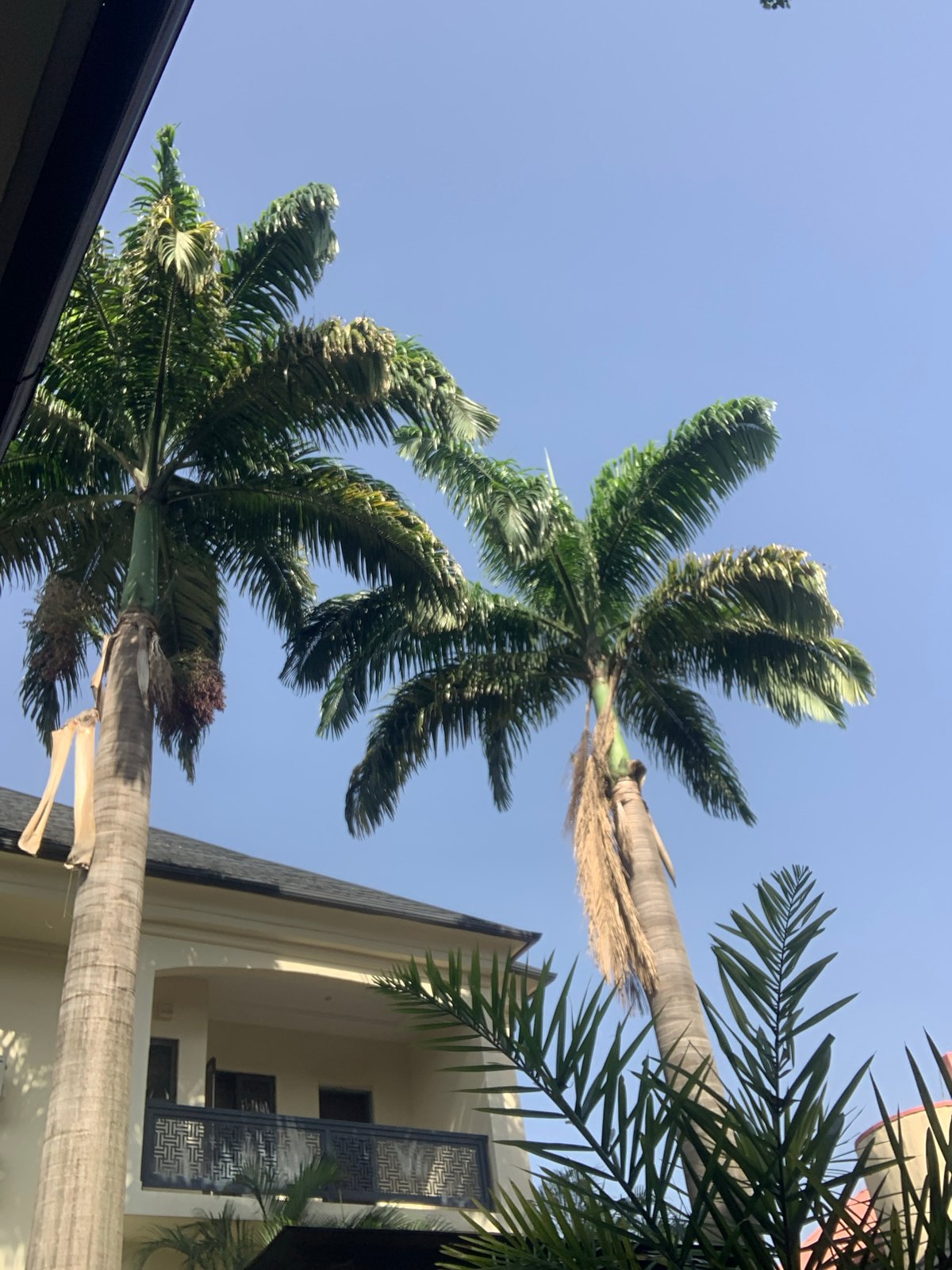 Laundry morning under blue skies in Abuja