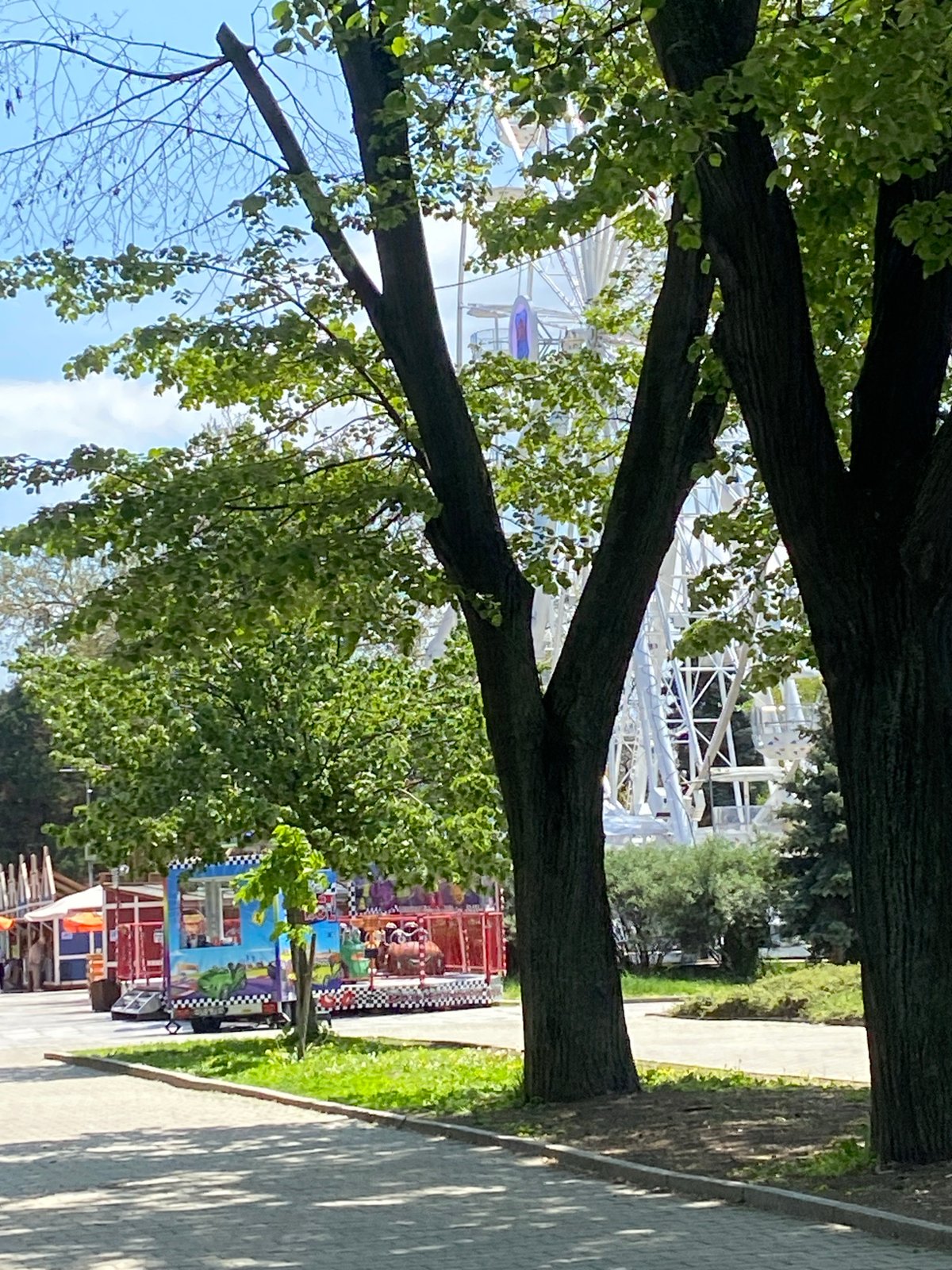 Sunny morning moments captured across Sofia's parks and metro