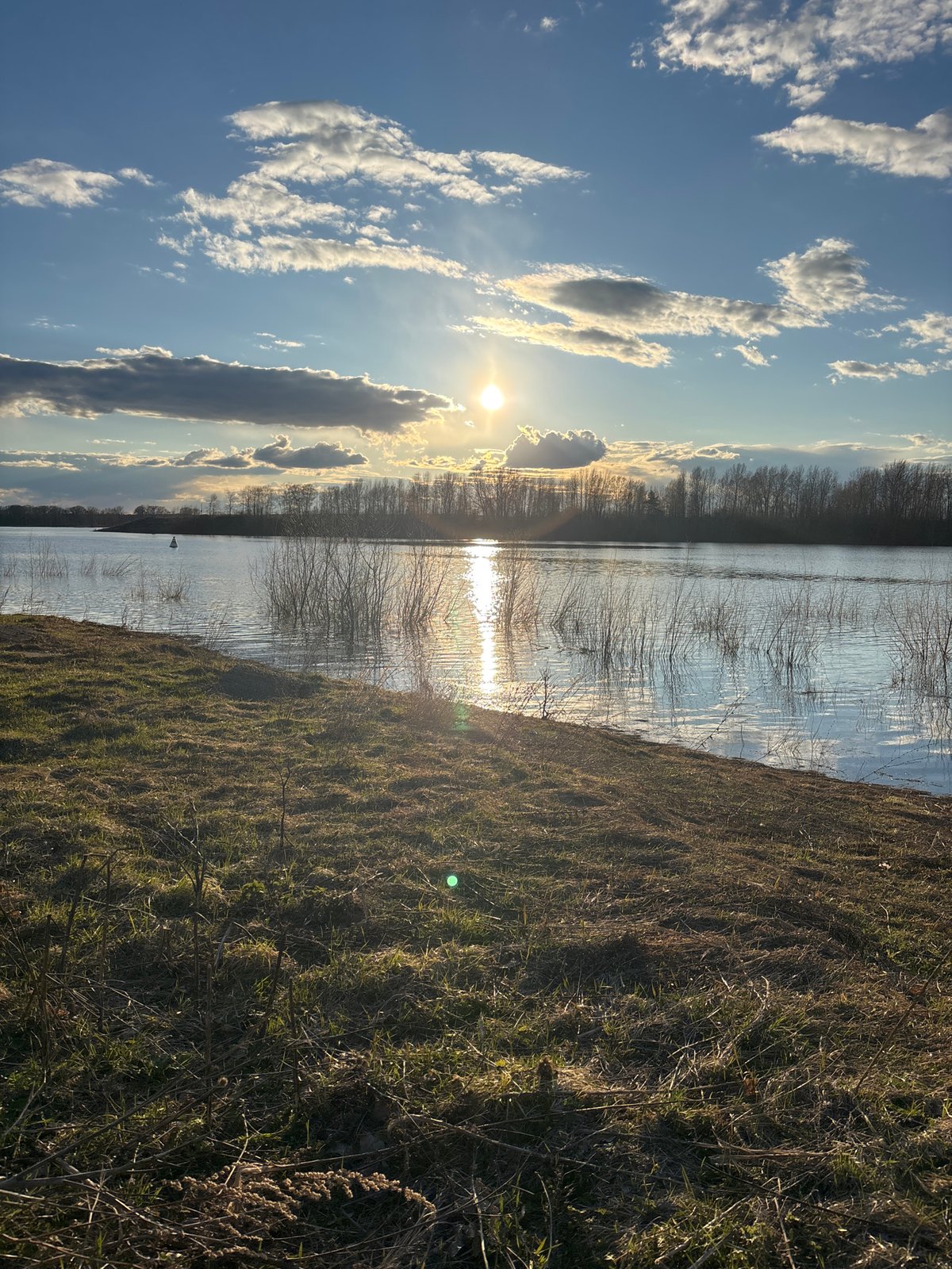 Afternoon dog walk documented along Chaikovsky waterway with pet interactions