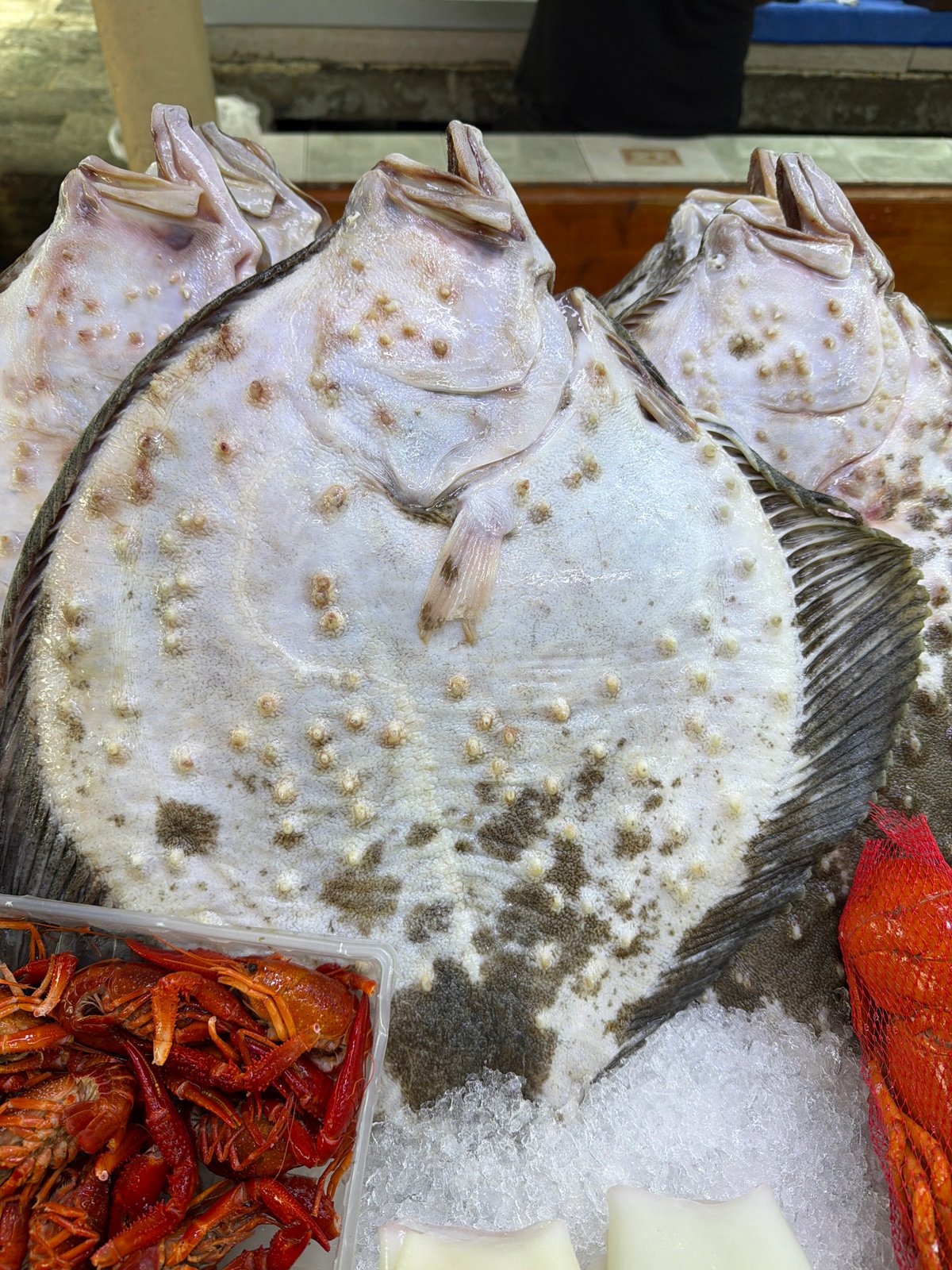 Fresh seafood market spread in Batumi, Georgia
