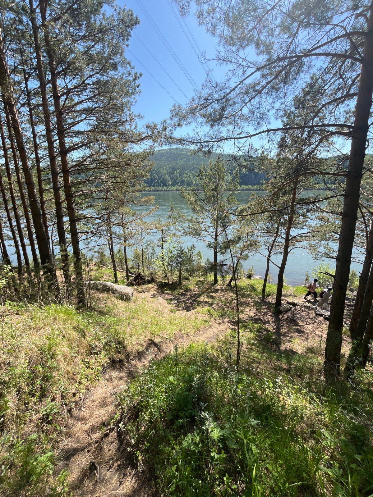 Morning nature outing documented along Krasnoyarsk riverbank