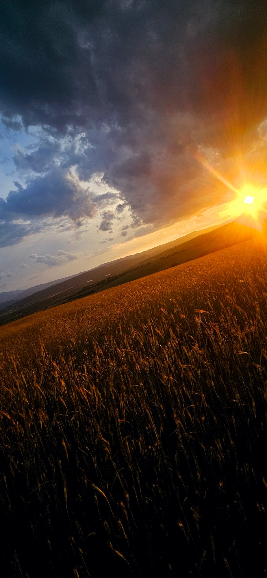 Dramatic sunset illuminates Bulgarian wheat fields amid stormy skies