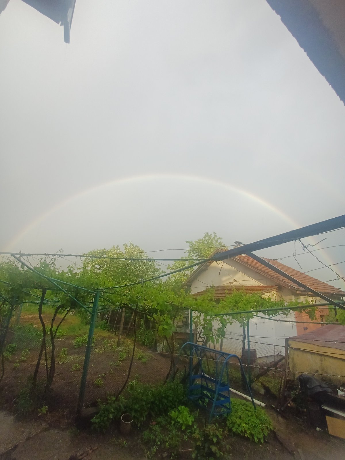 Rainbow appears over vineyard in Cherven Bryag, Bulgaria