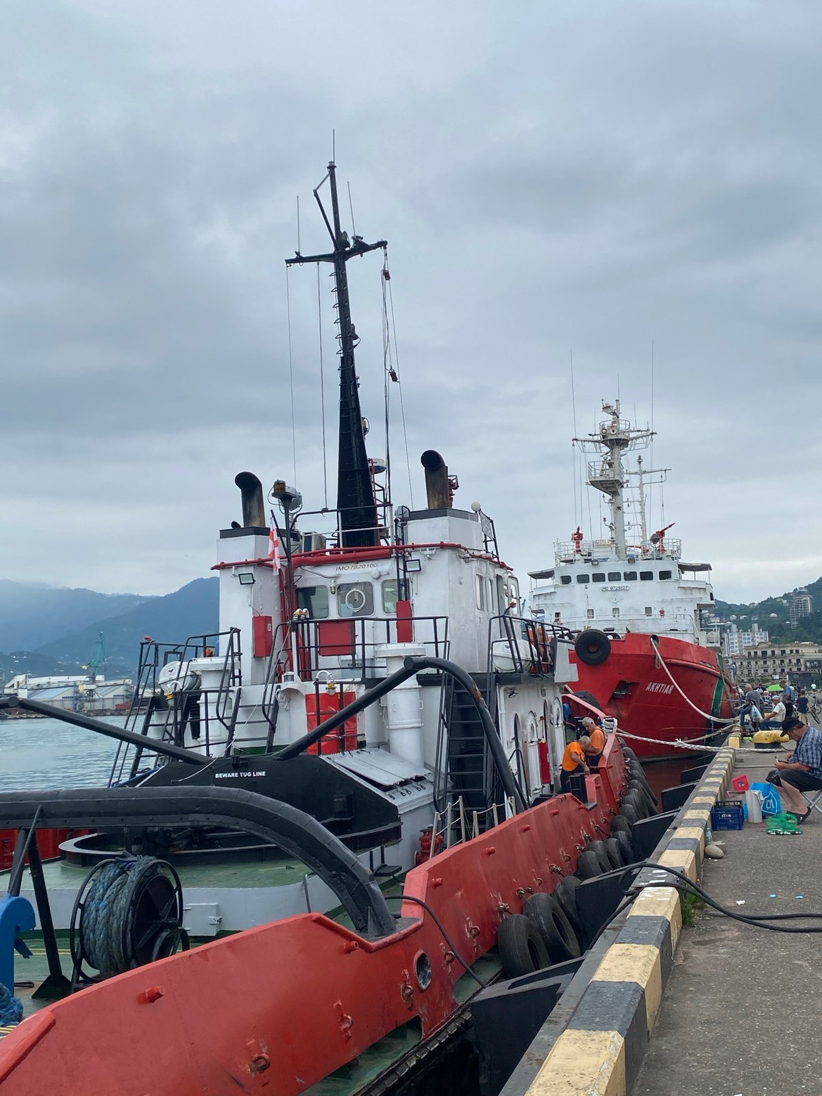 Tugboats and ships line the working waterfront in Batumi