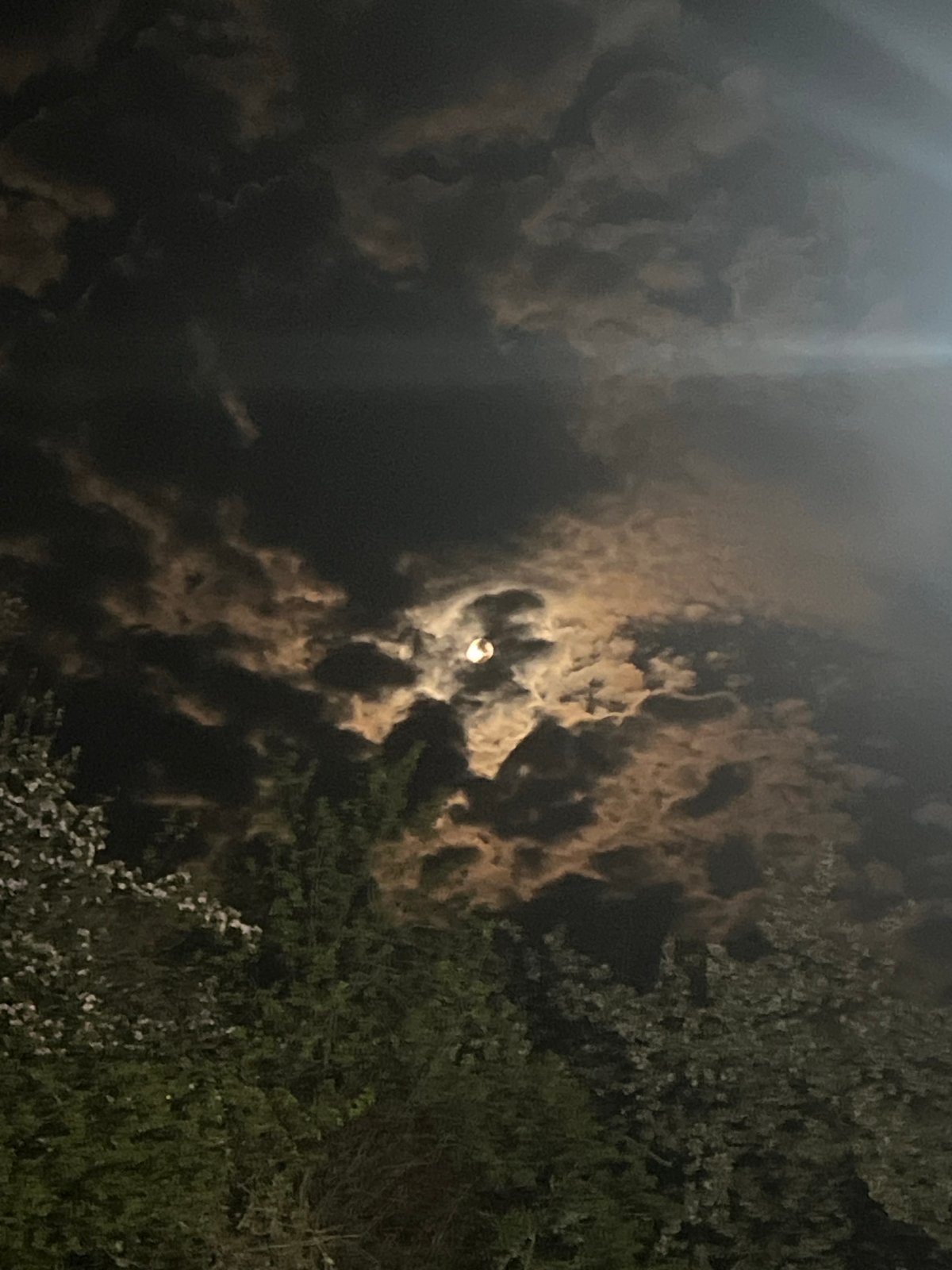 Witness documents dramatic moonlit night scene in Kribul, Bulgaria
