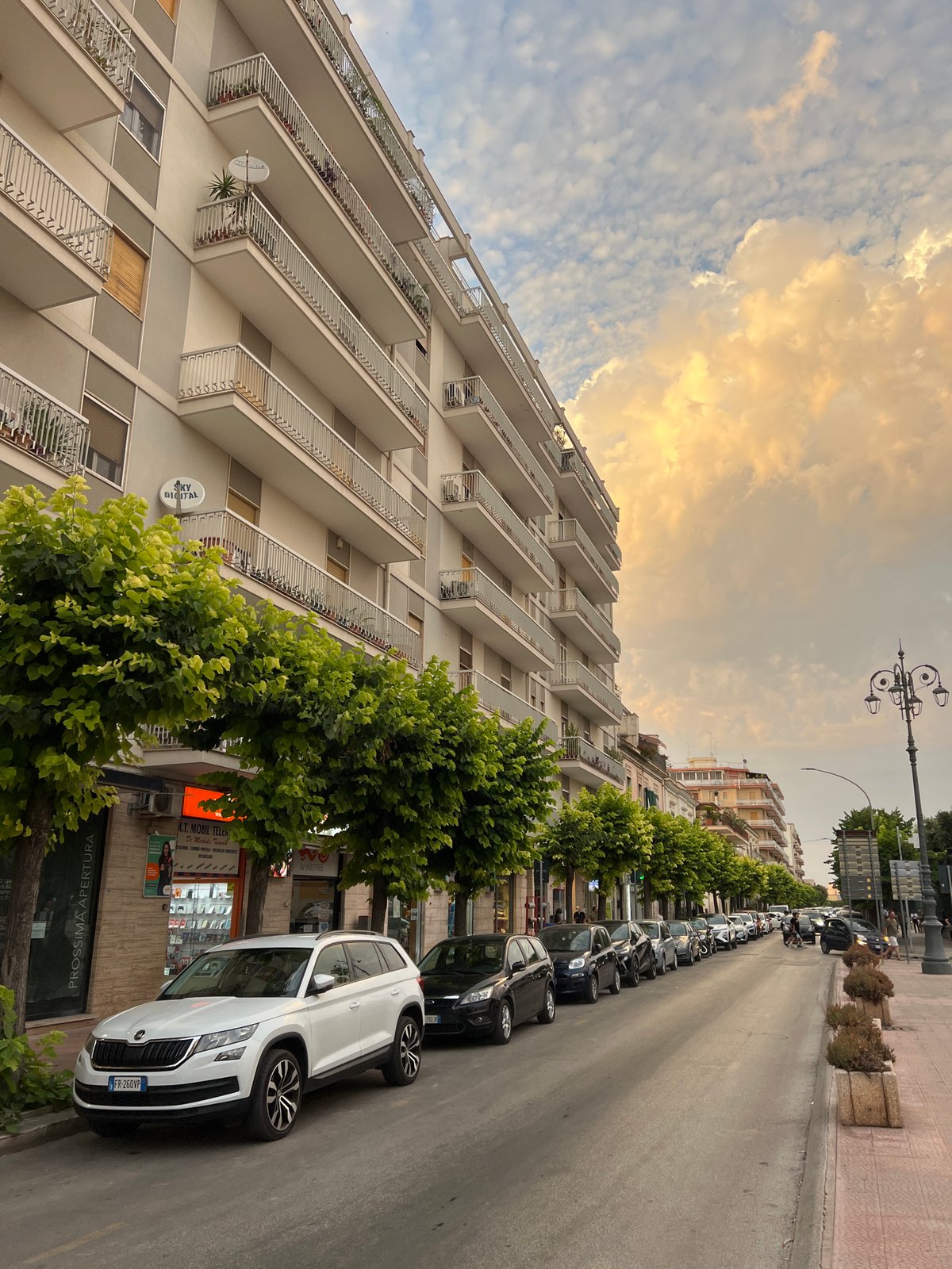 Inside a Bitonto photo studio on a golden summer evening