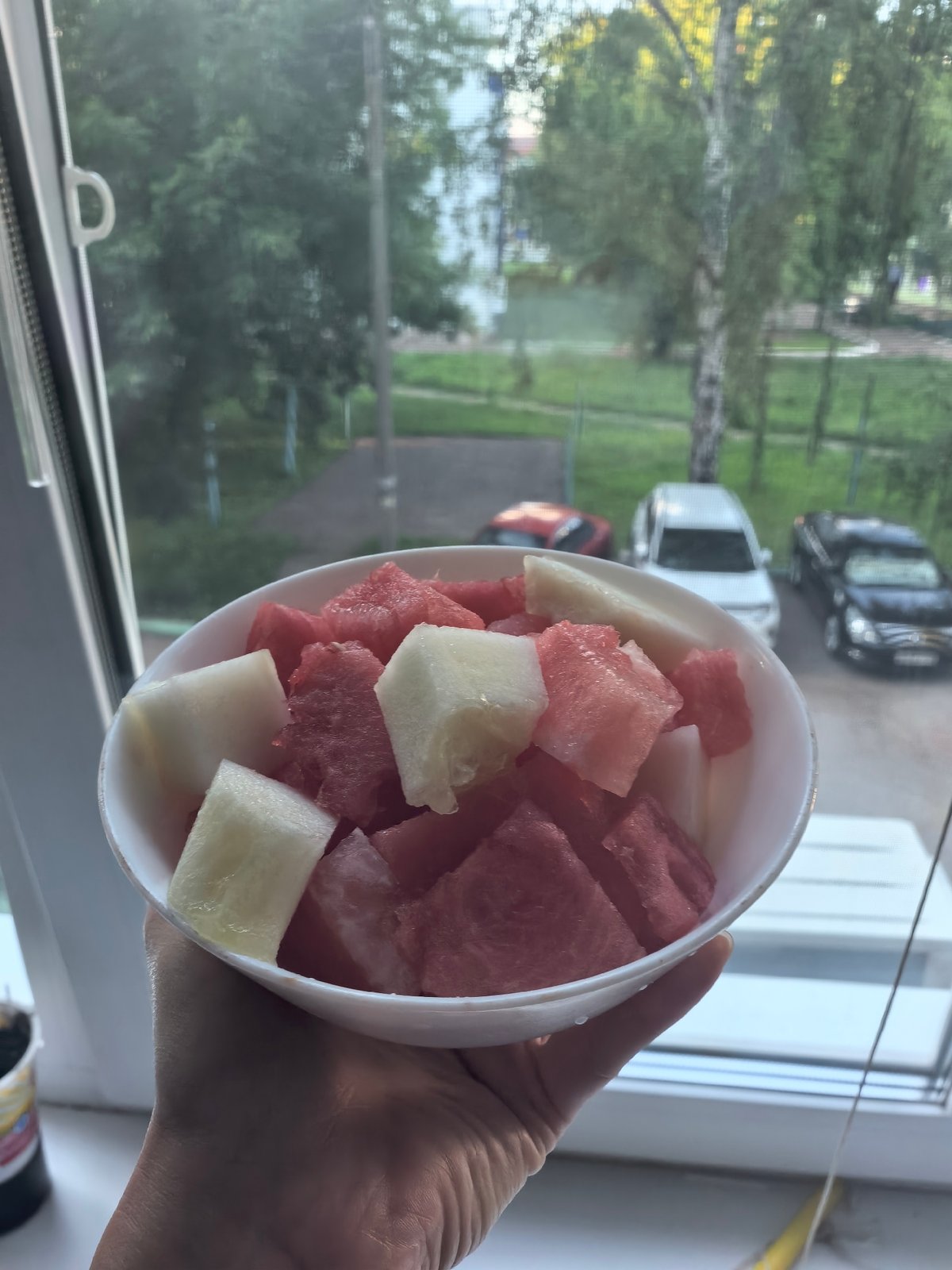 Summer fruit and flowers on a July afternoon in Sterlitamak
