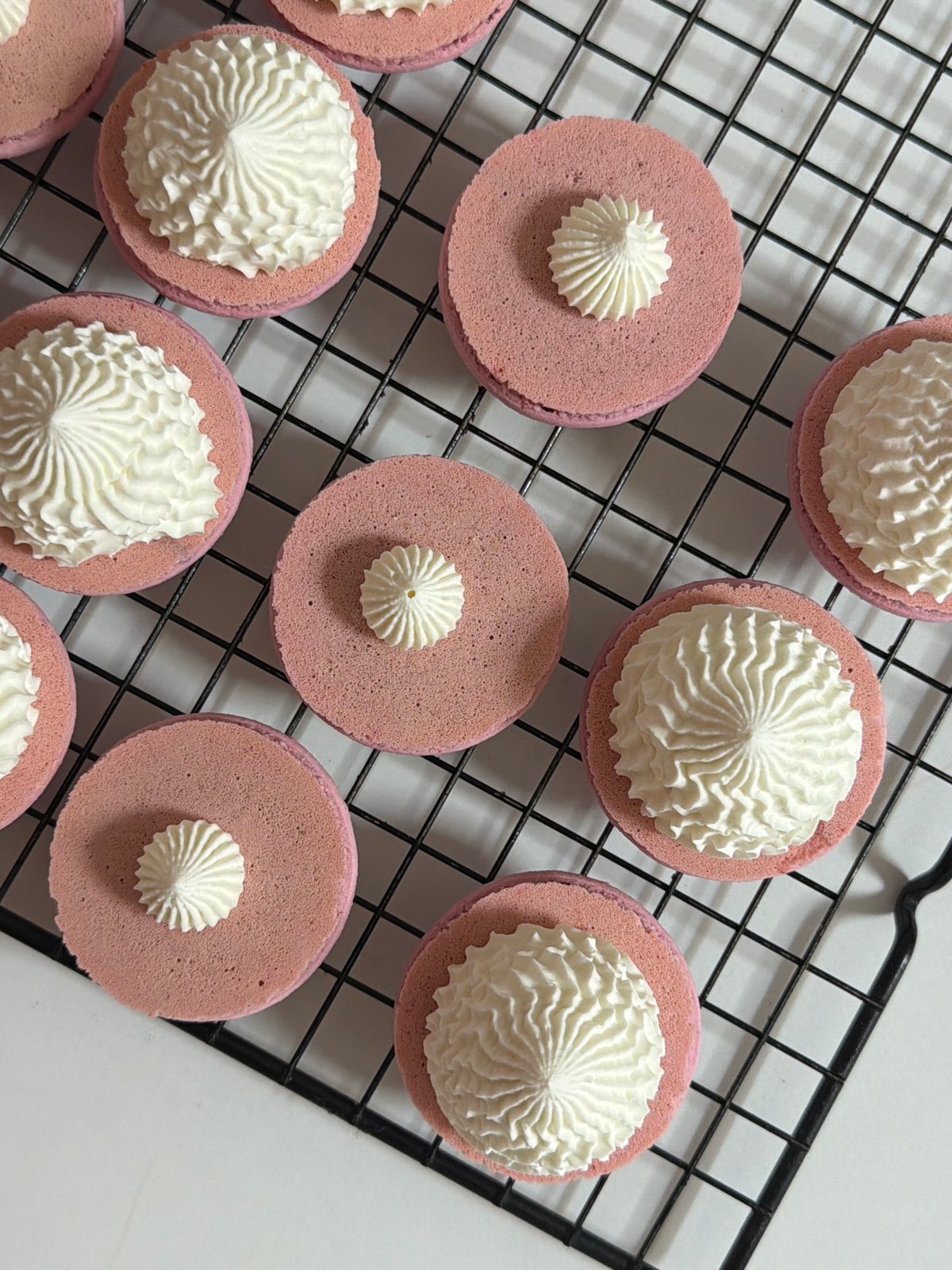 Tel Aviv Woman Spends Afternoon Baking Colorful Macarons
