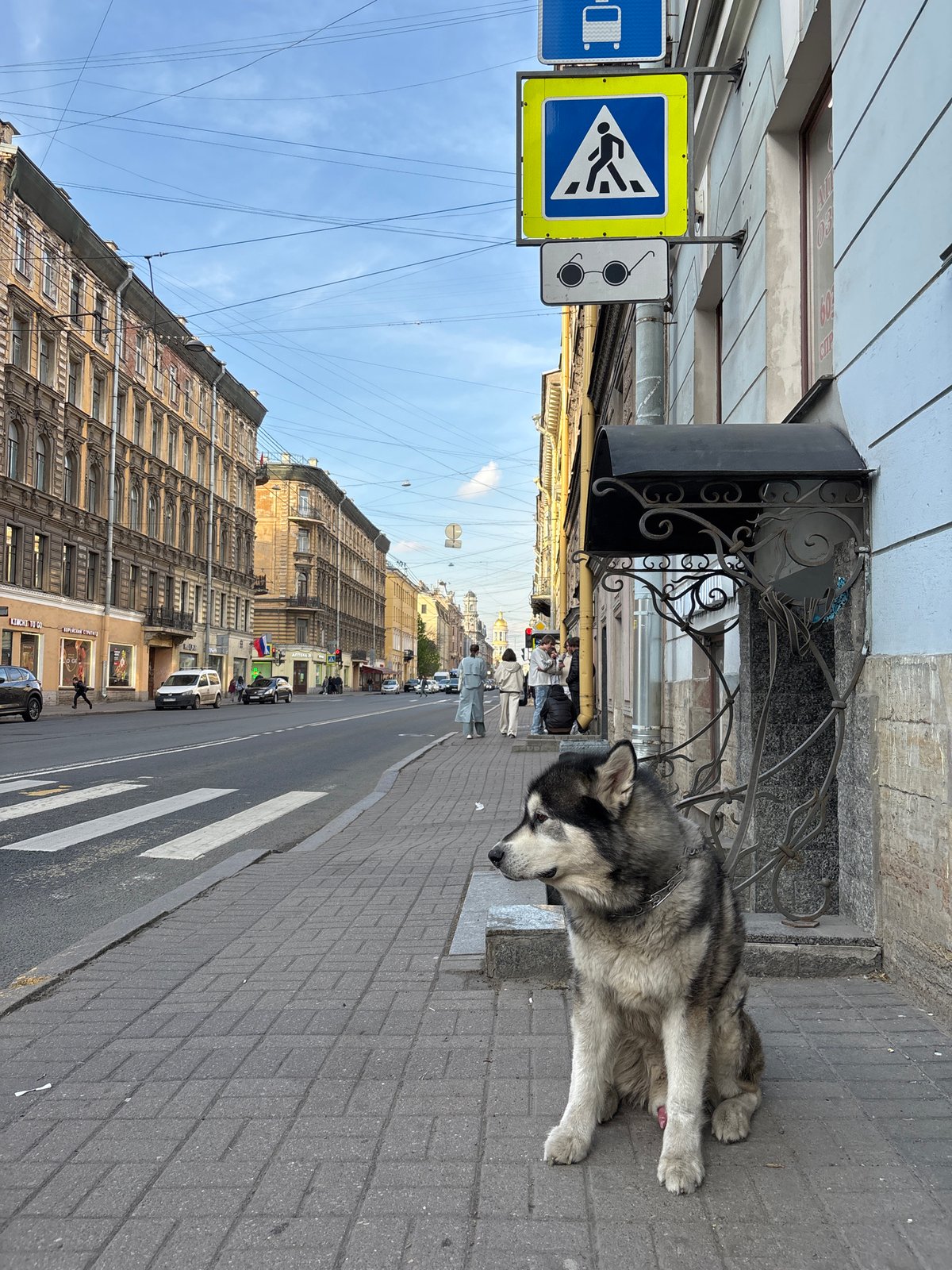 Street scenes, architecture, and daily life documented in Saint Petersburg
