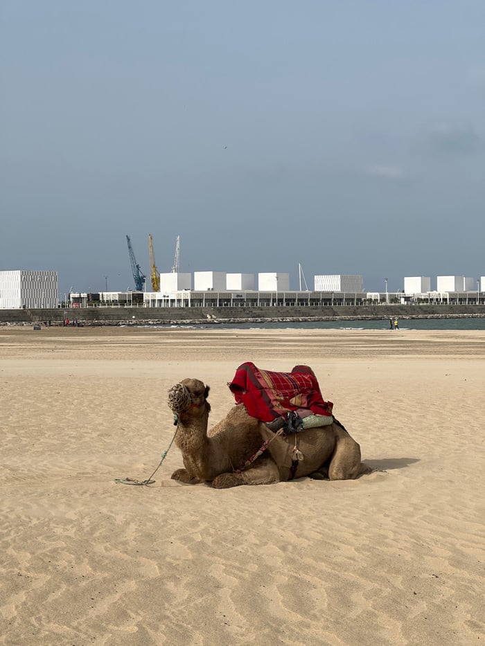 Ordinary afternoon unfolds along Tangier's tourist beachfront
