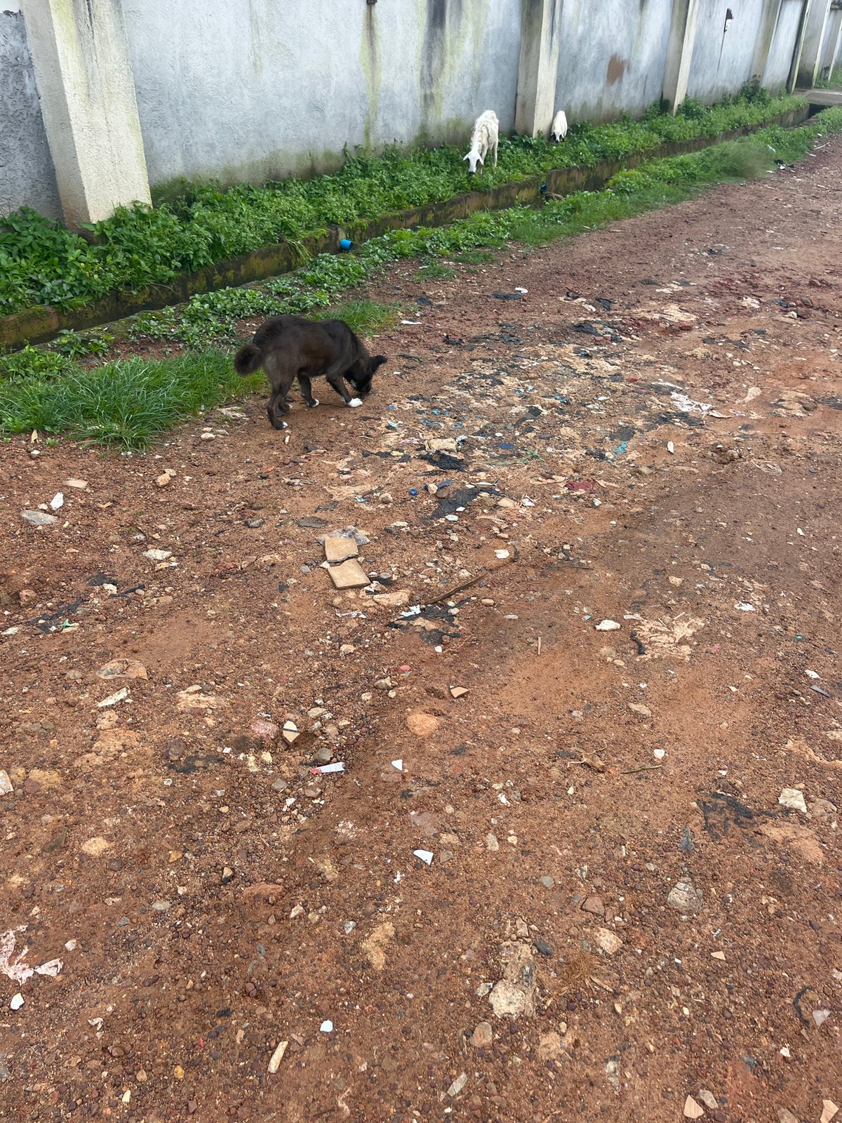 Morning life on the streets and dirt roads of Jos, Nigeria
