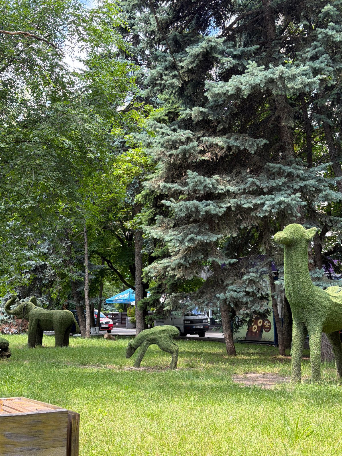Casual park stroll documented in central Chișinău