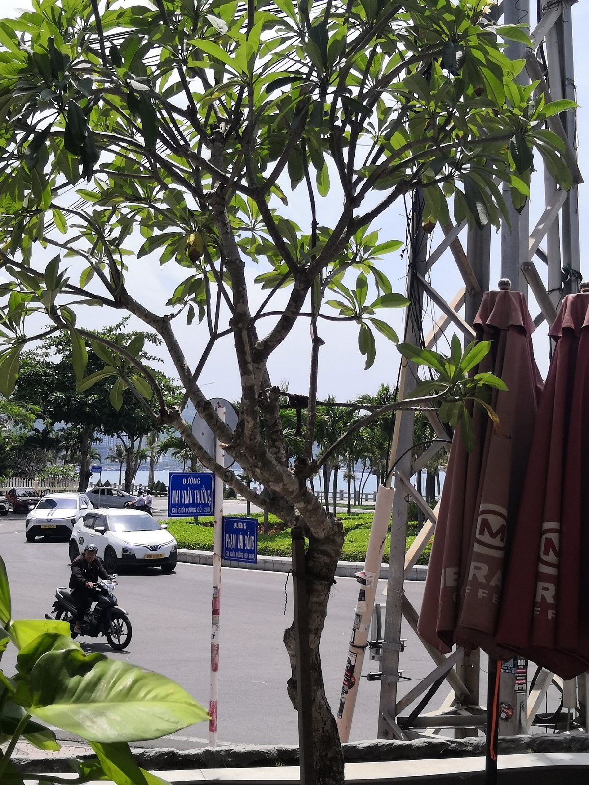 Daily life moments documented across Nha Trang, Vietnam