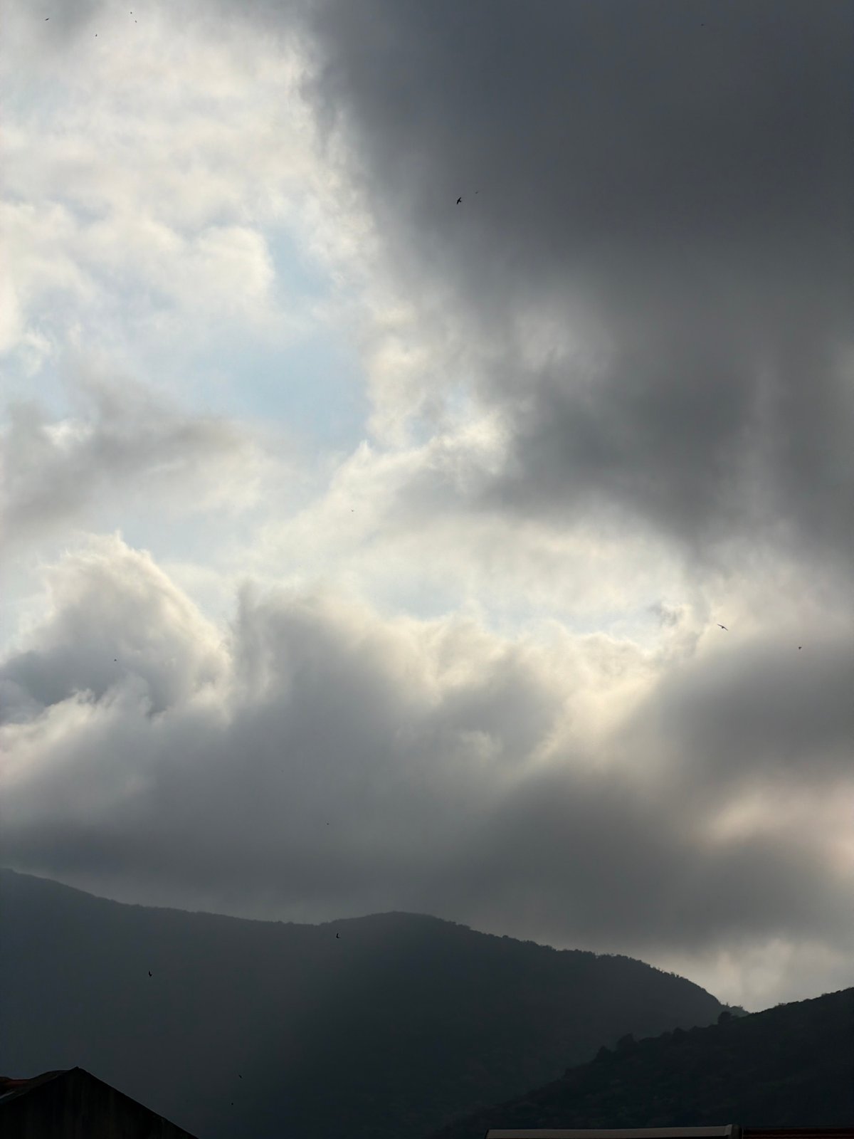 Quiet afternoon moments documented in Budva, Montenegro