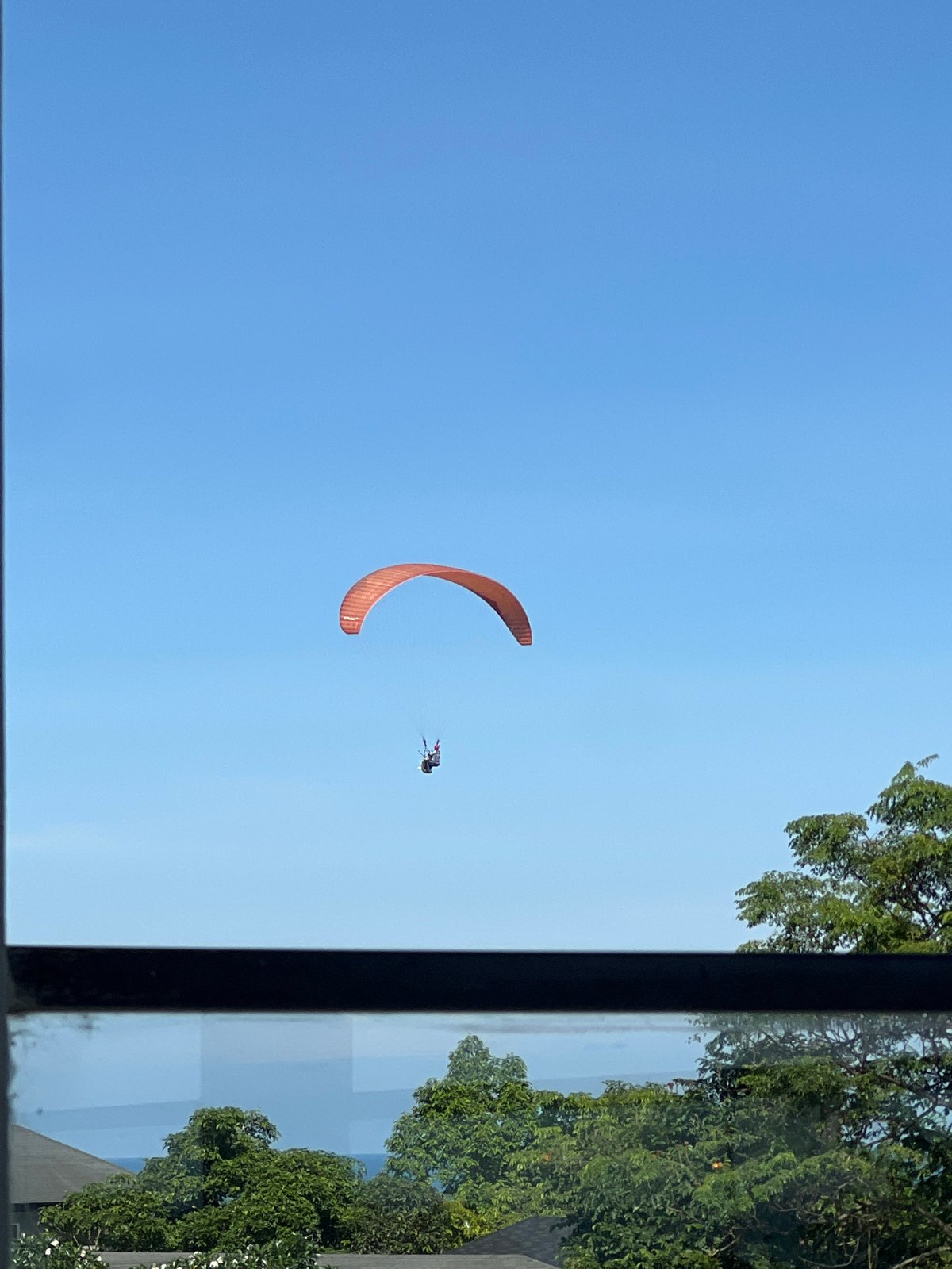 Paraglider spotted, dogs watch through window at same location