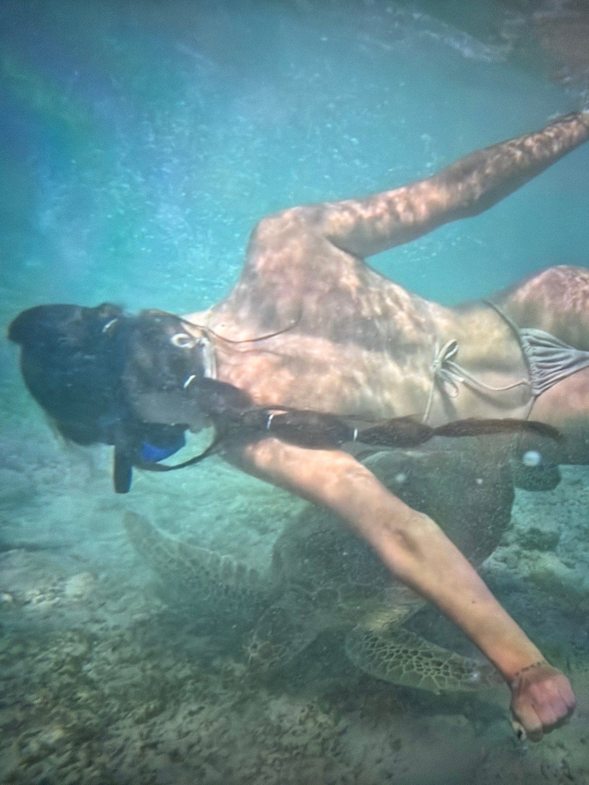 Mixed memories from Beyoğlu include underwater turtle encounters, indoor scenes