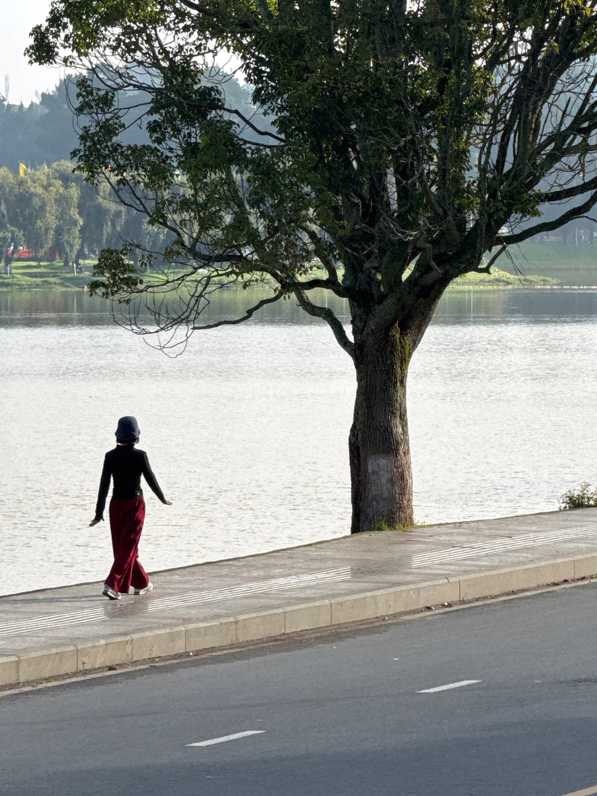 Morning lakeside activity and topiary gardens in Da Lat
