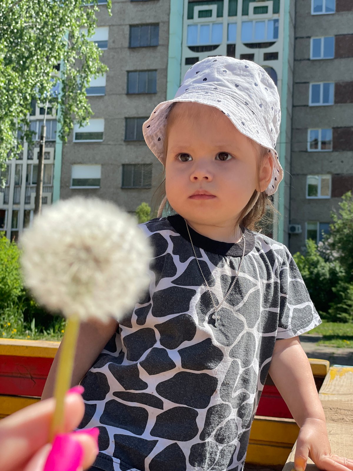 Mother and child play among dandelions in Izhevsk field