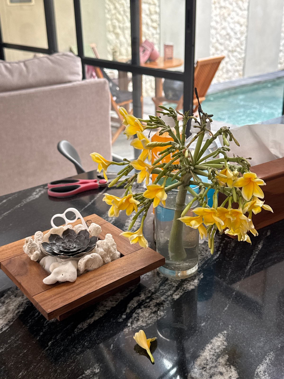 A relaxed villa morning across Denpasar and Kuta, Bali