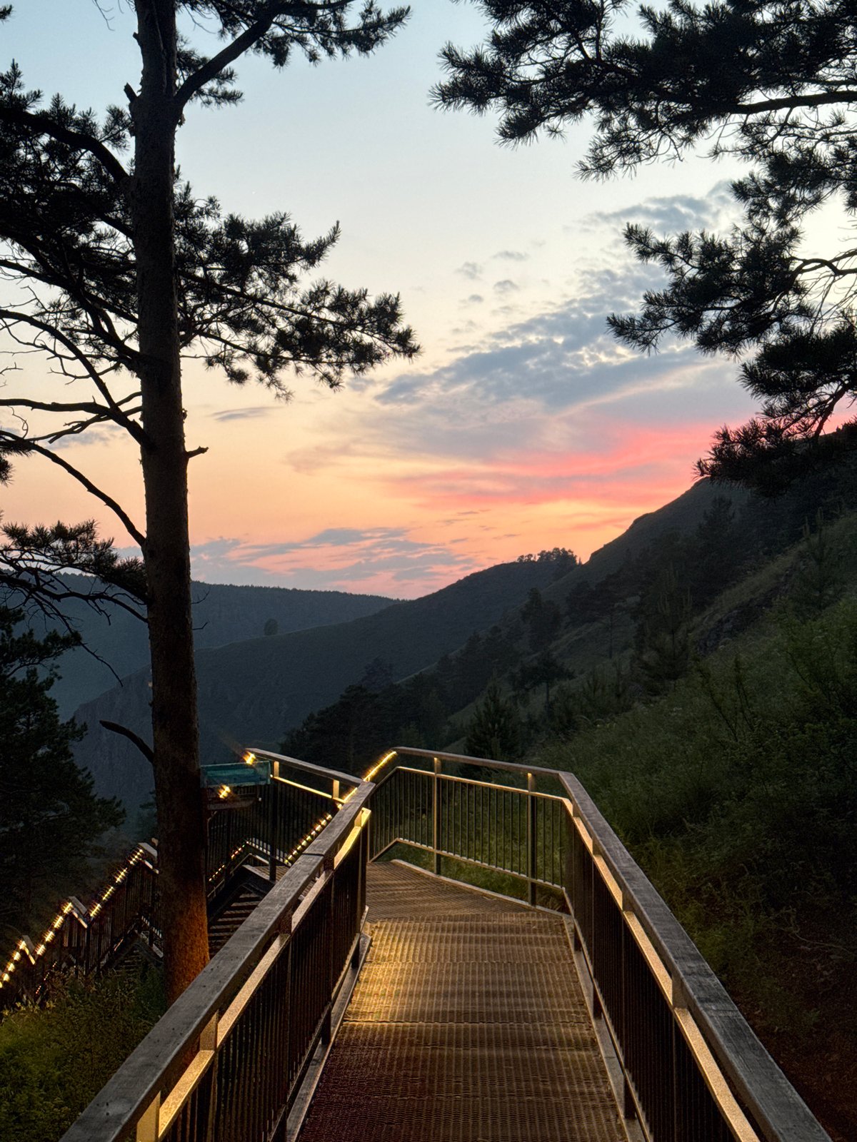 Illuminated mountain staircase documented in Krasnoyarsk forest viewpoint