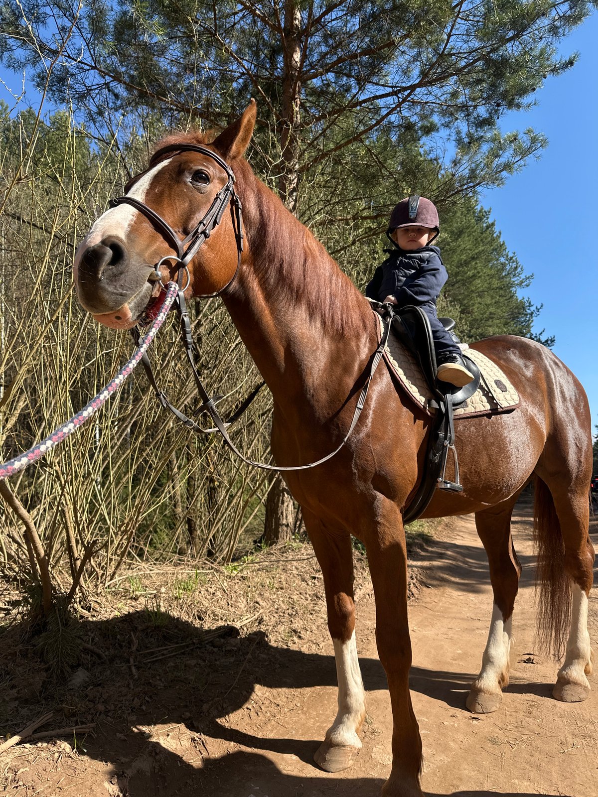 Child takes horseback riding lesson in Russian countryside