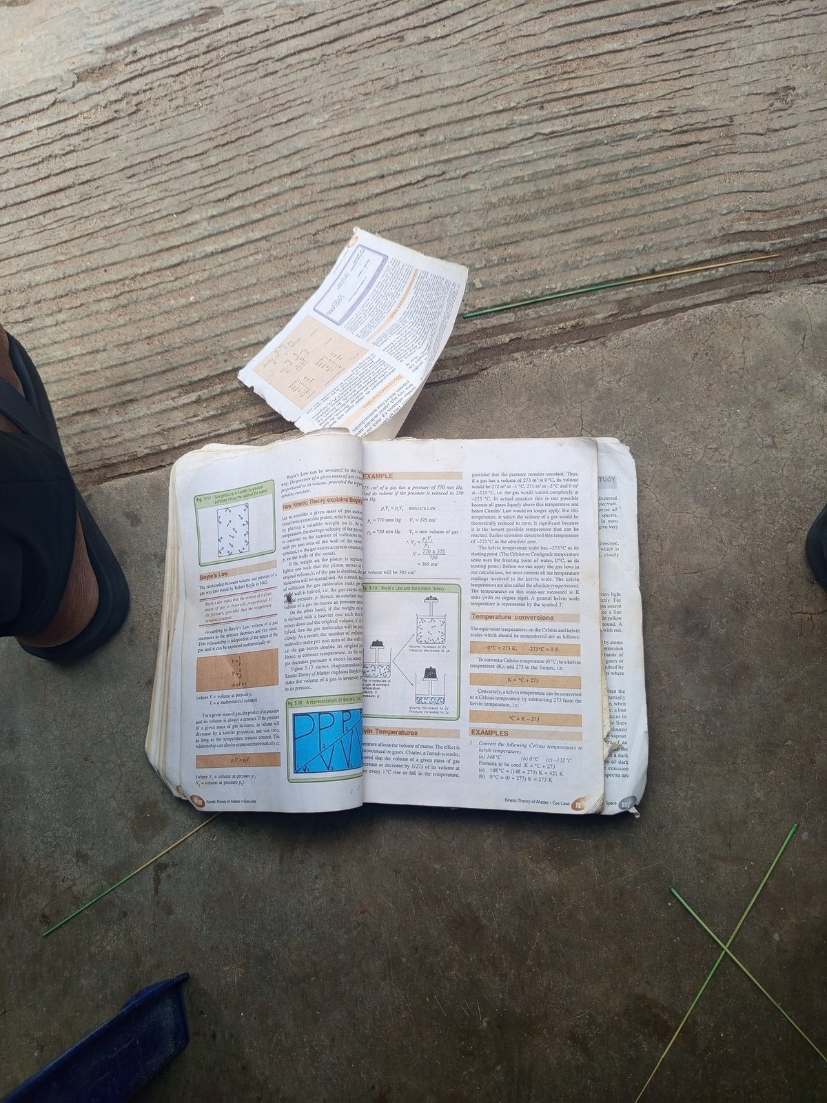 Outdoor textbook study session in Jalingo covers microbiology