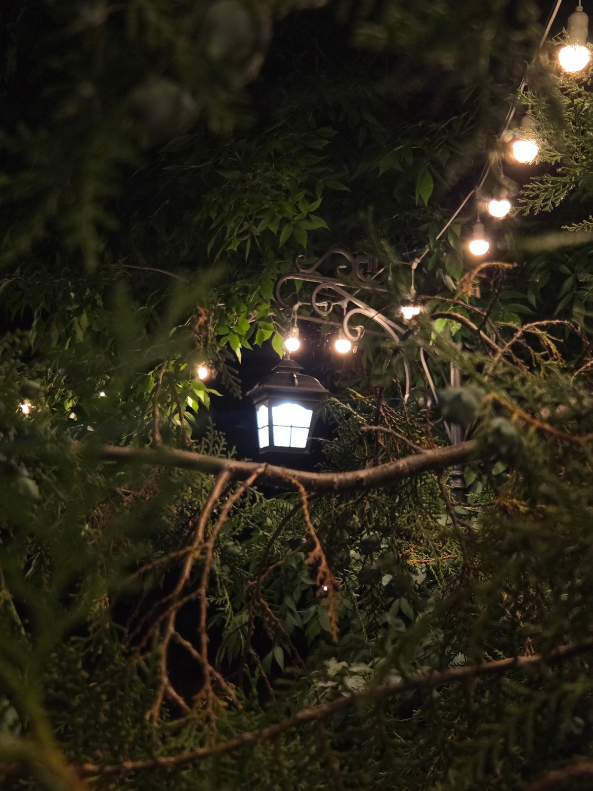 Summer evening around Tiraspol's lit parks and landmarks