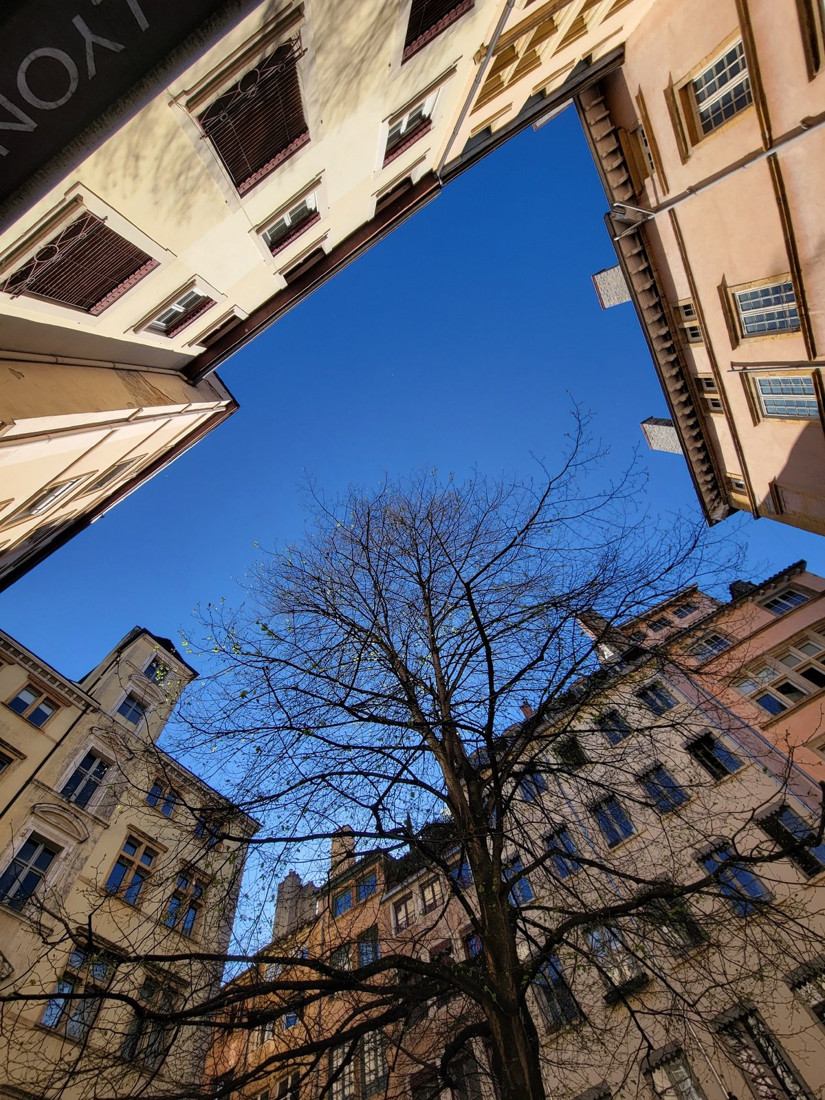 Witness documents Lyon's historic architecture and ancient theatre ruins