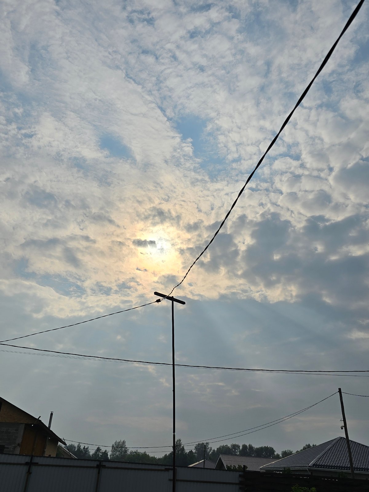 Summer morning in rural Siberia: birds, blooms, and backyard life