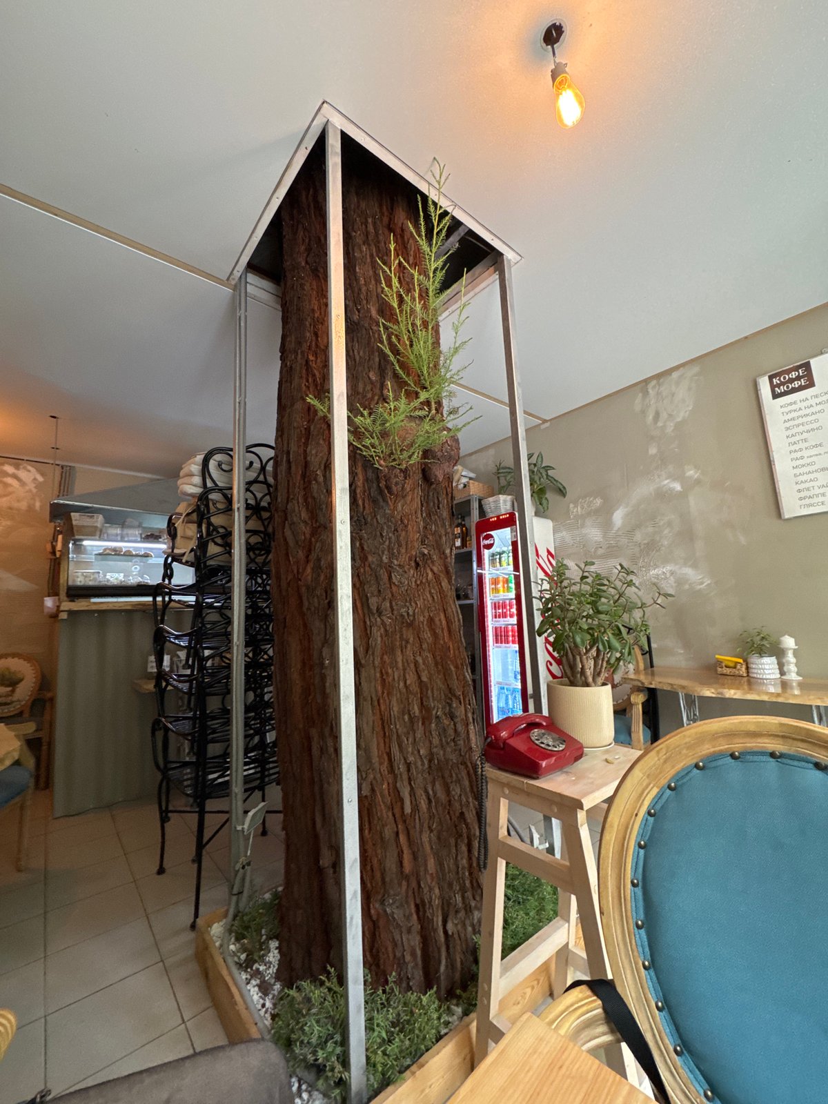 Indoor tree trunk installation documented in Sochi building