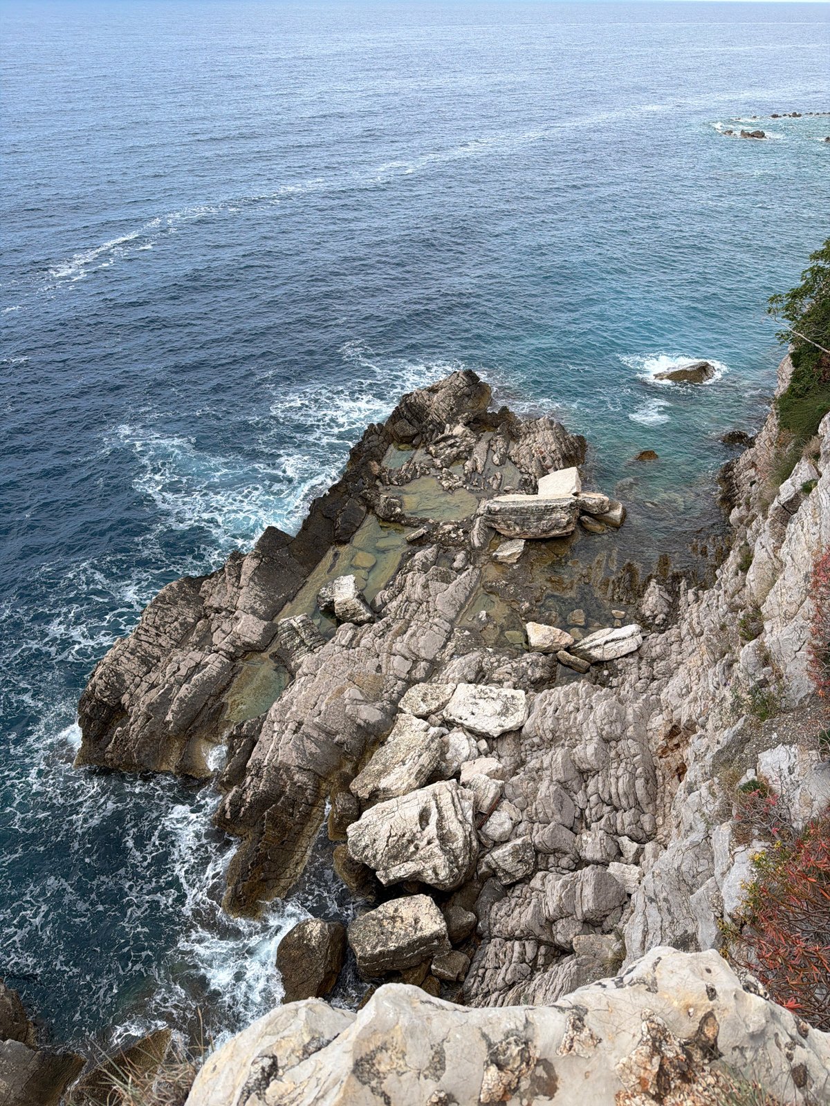 Dog observed on coastal cliffs at Mirište, Montenegro