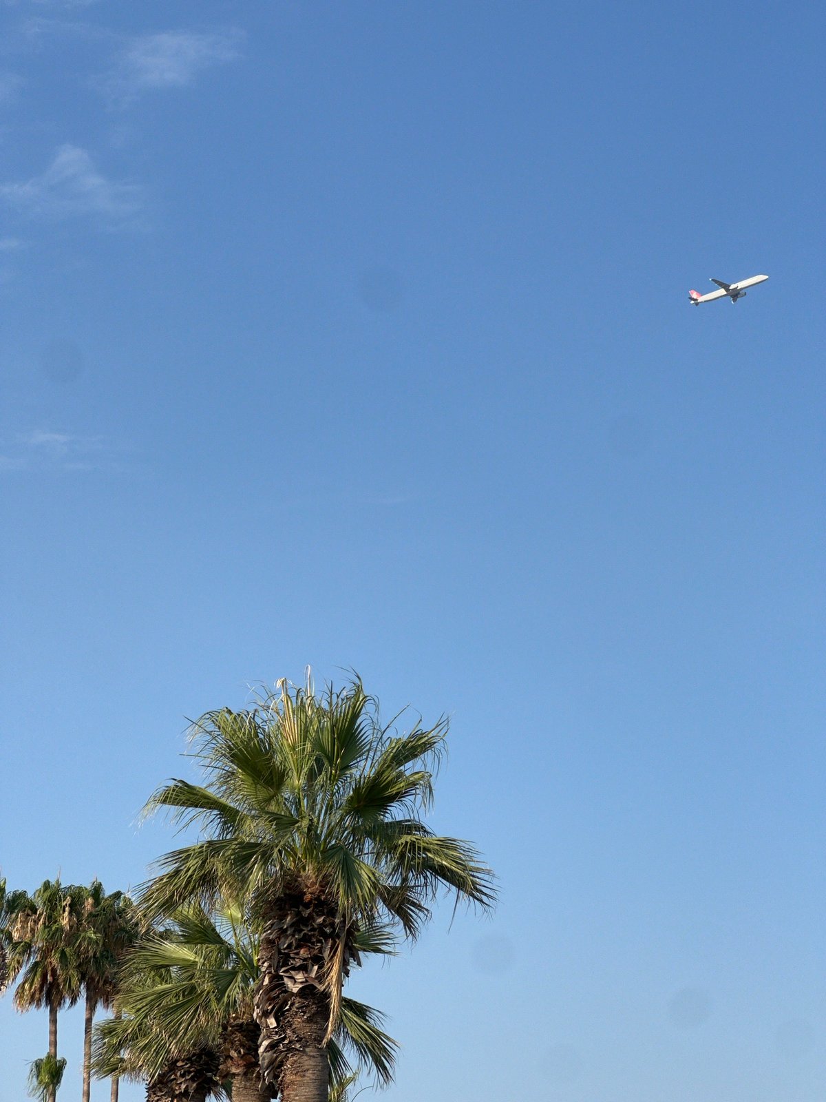 Afternoon at the Antalya waterfront: beach, palms, and paddleboards